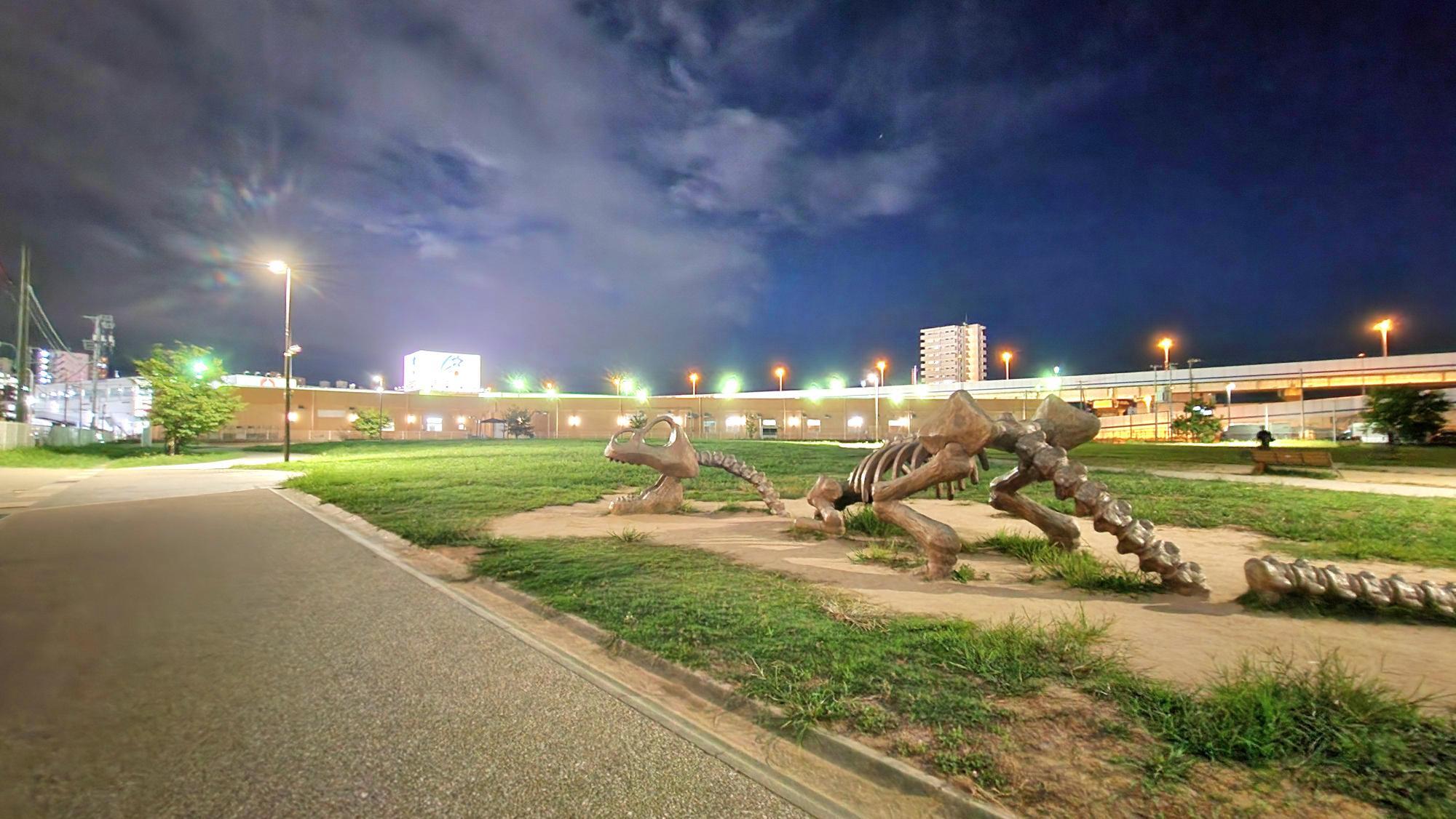 広々とした公園内には街灯がたくさんあるため､夜に訪れても比較的明るい。