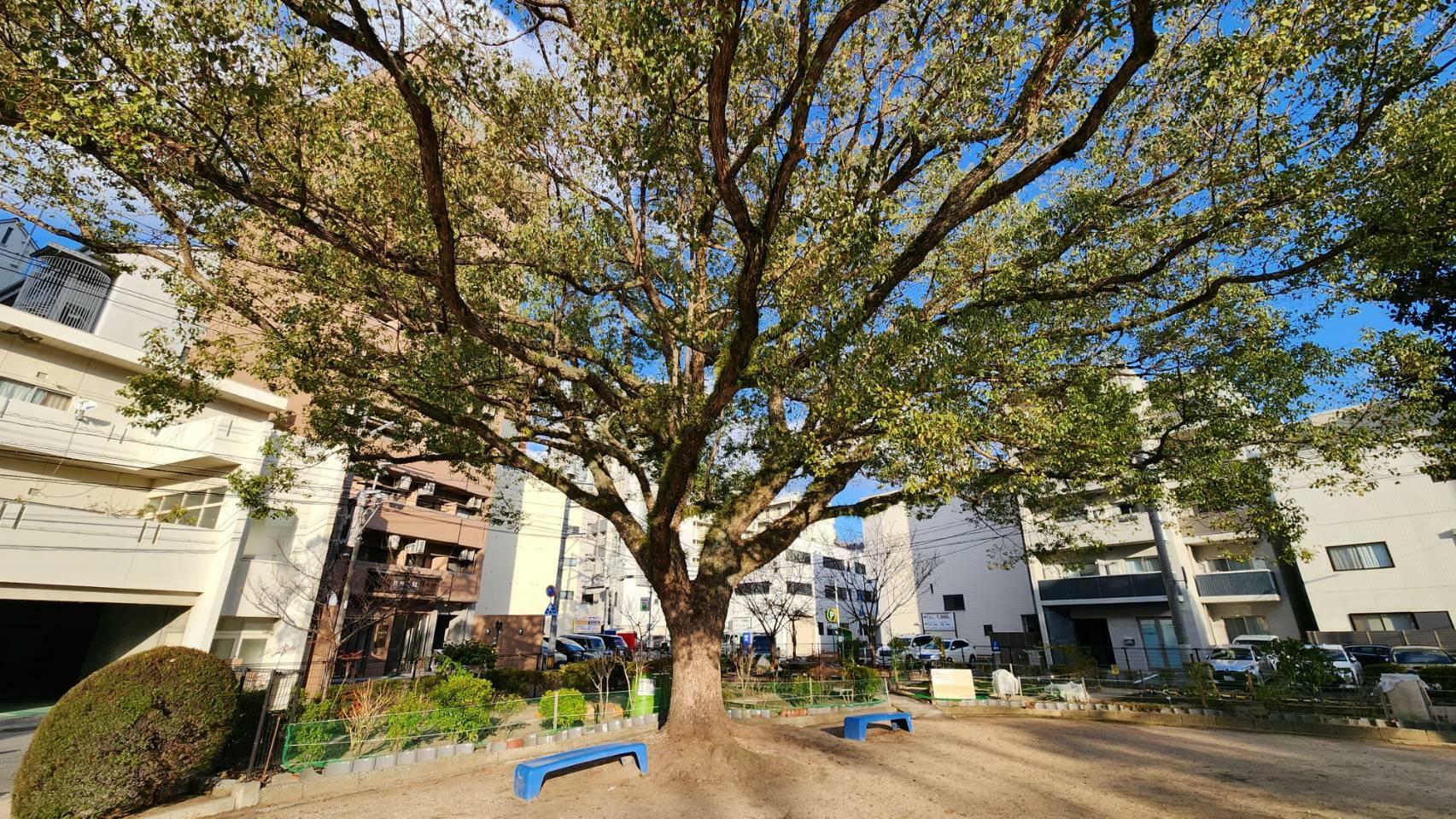 横川第二公園では心地よい時間を過ごすことができると思います。
