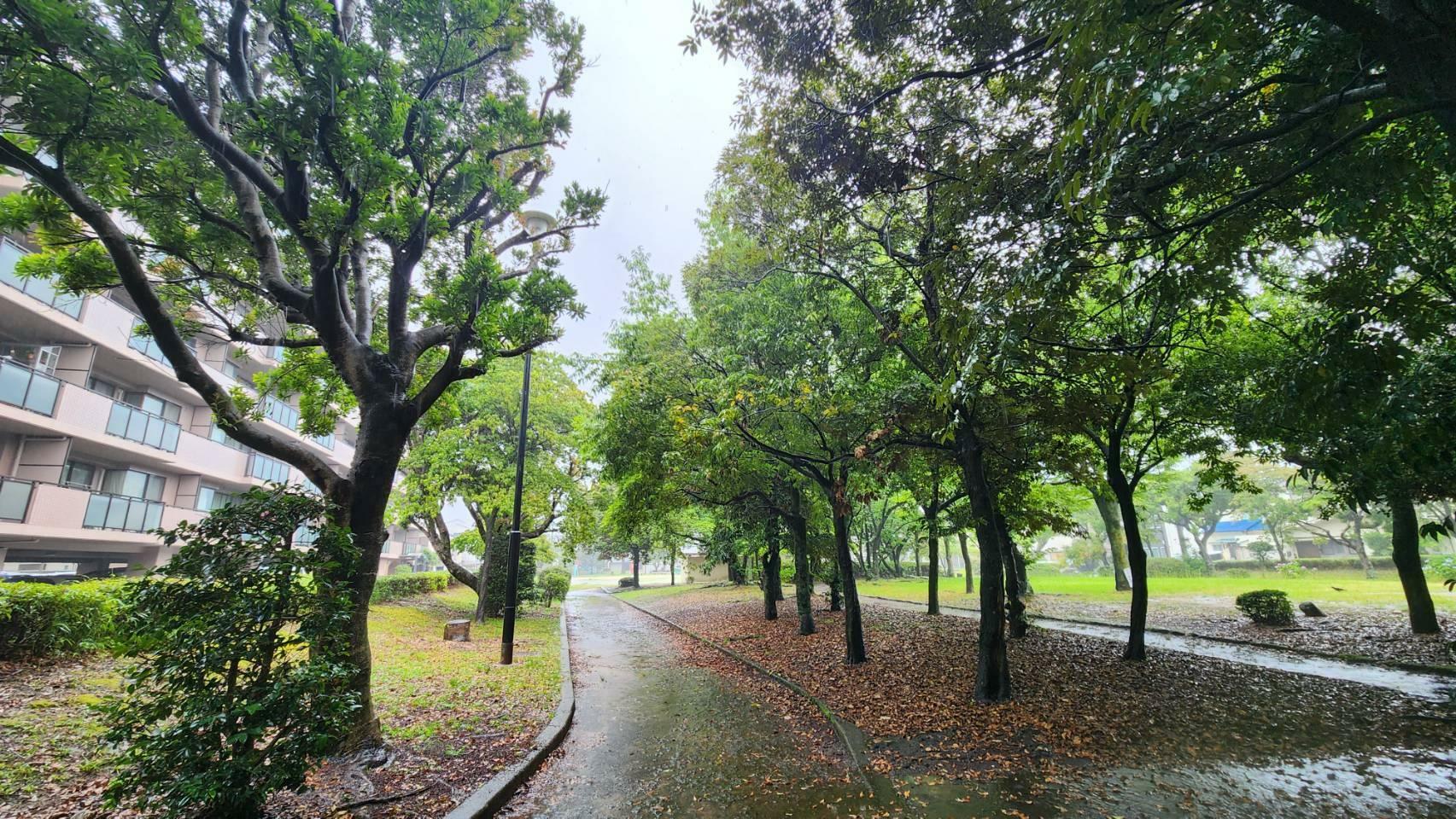 私が訪れた日は少し雨が降っていましたが、晴れた日に散歩をするときっと気持ちいいと思いました。