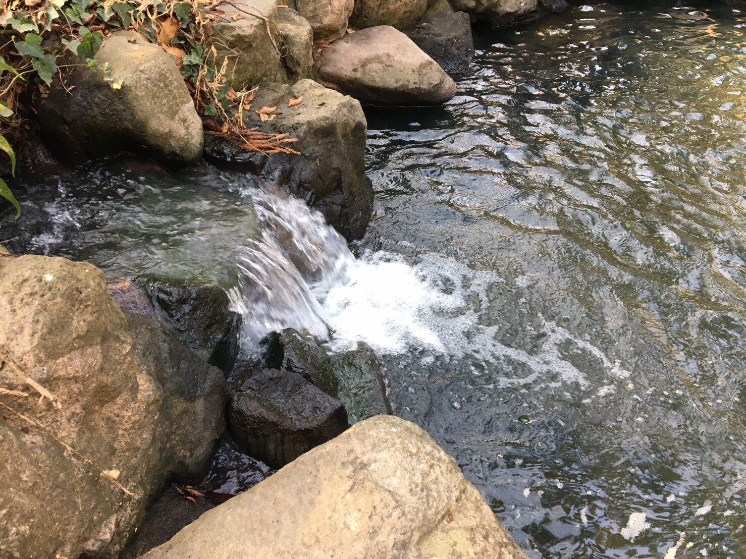 水の流れ込み