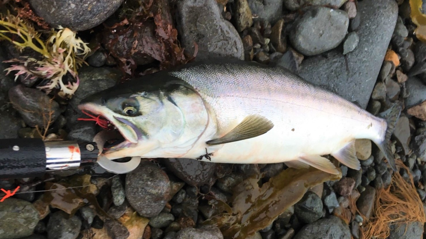 釣りは結局は「運」次第？釣果アップのために必要なこととは？（なる