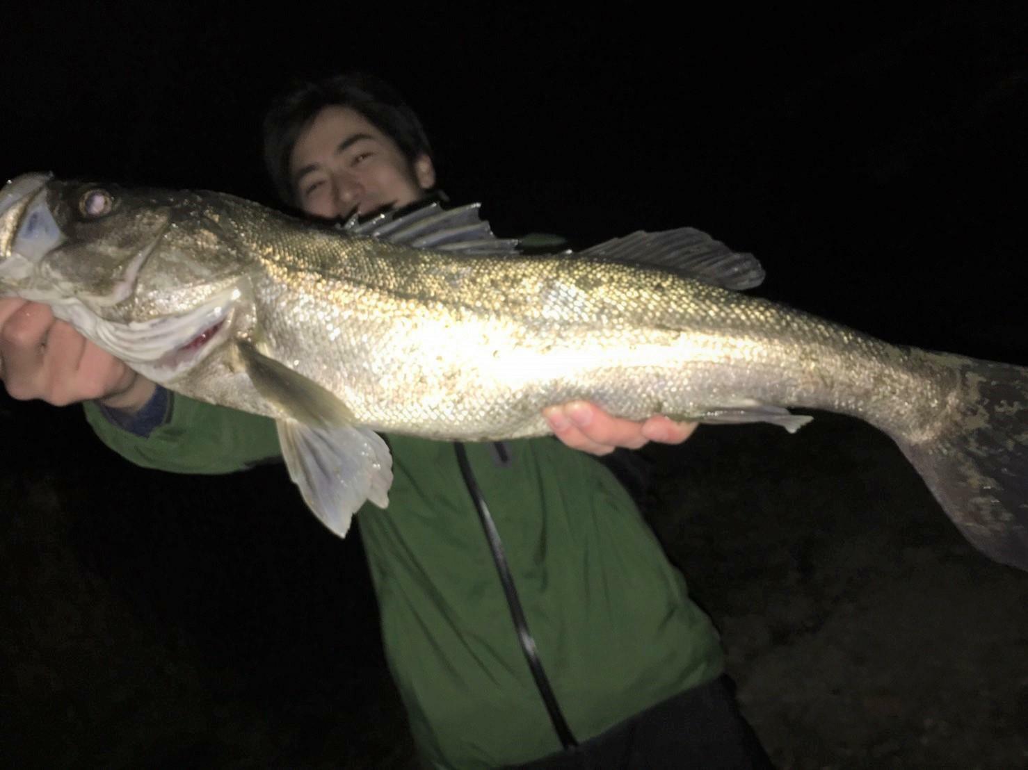 新しい趣味を始めるなら”釣り”で決まり！釣りで人生が変わった話。（なるフィッシュ） - エキスパート - Yahoo!ニュース