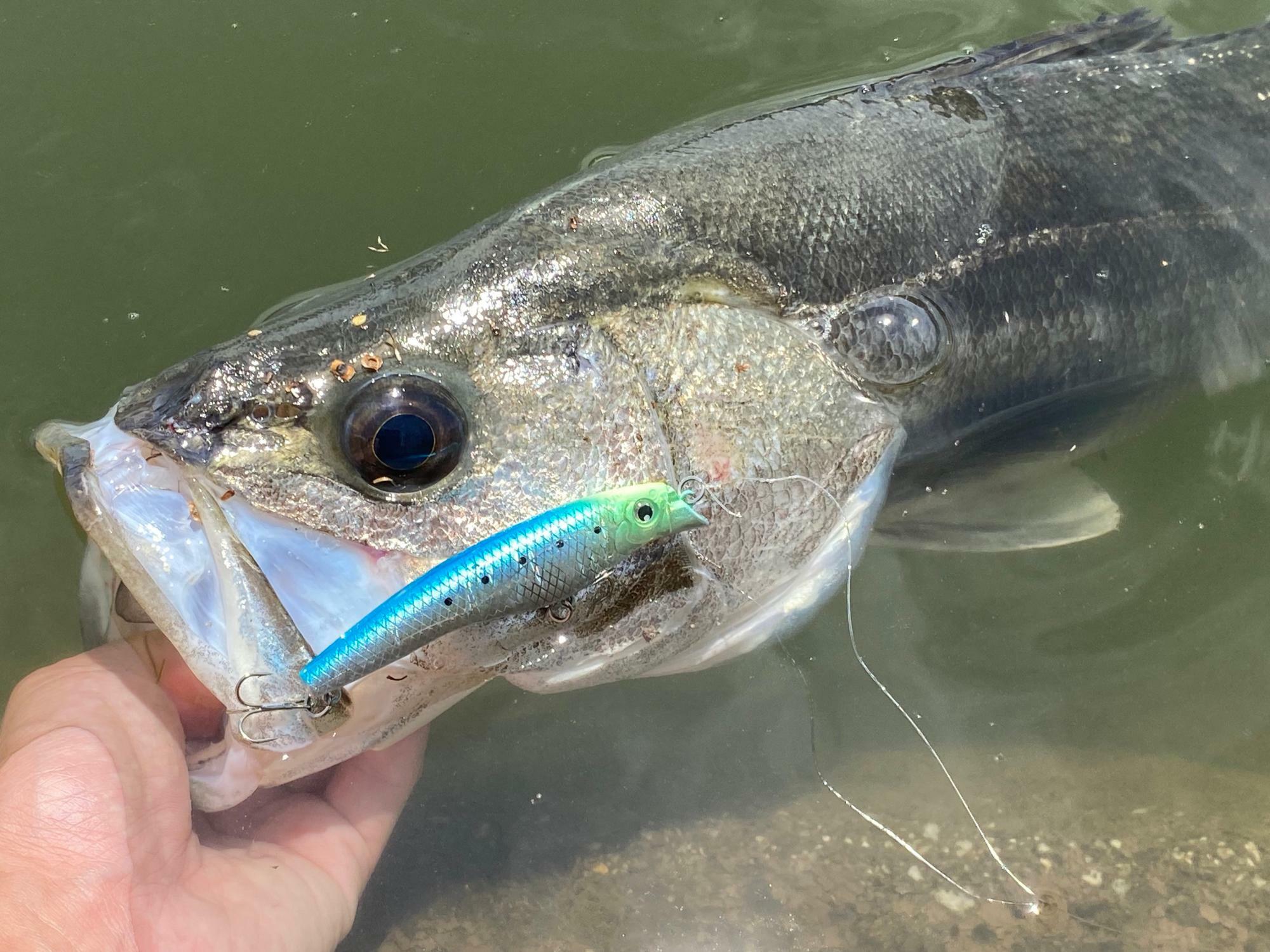 納得のいくまで釣果テストを繰り返して開発されている