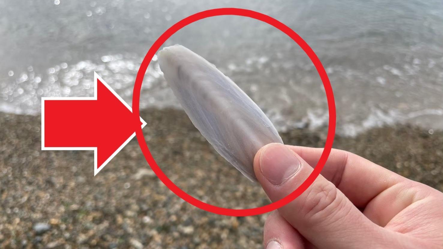 謎の物 ナゾ空に浮かぶ\u201c巨大な物体\u201dゆっくりと移動 その正体は？ - YouTube