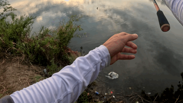 釣具マニア厳選！2025年版、激安BFSリールランキング（なるフィッシュ