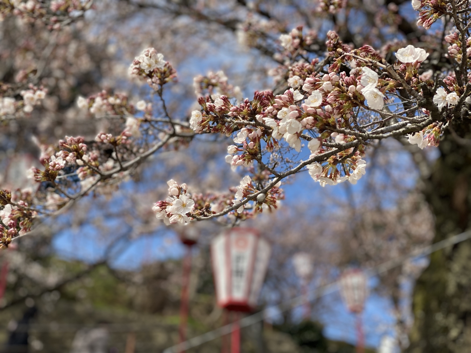 写真はイメージです