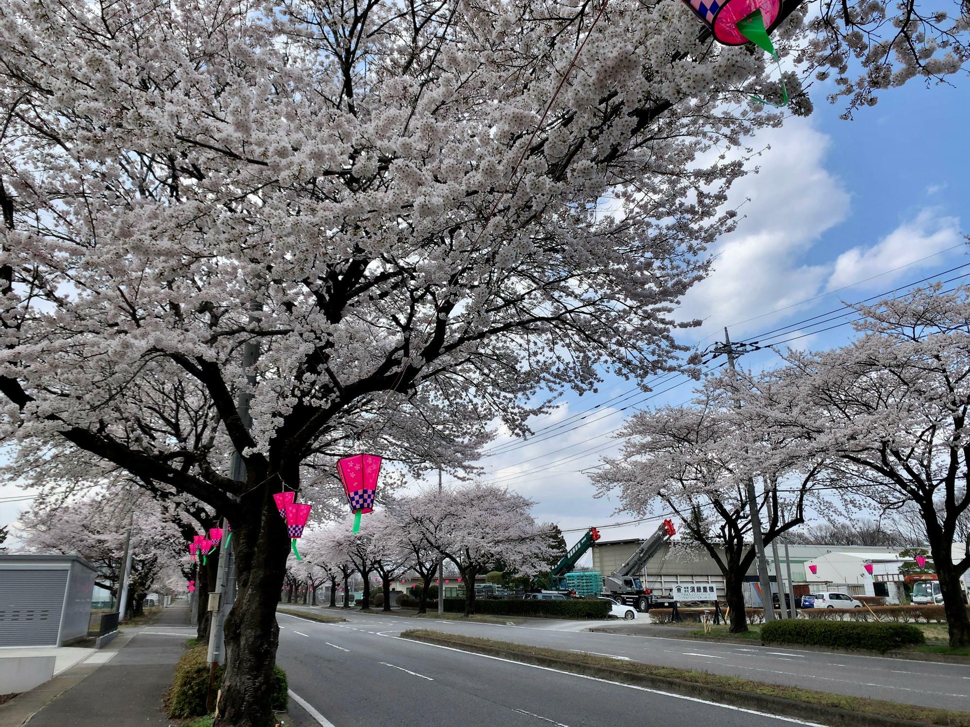 撮影日：2023年3月29日