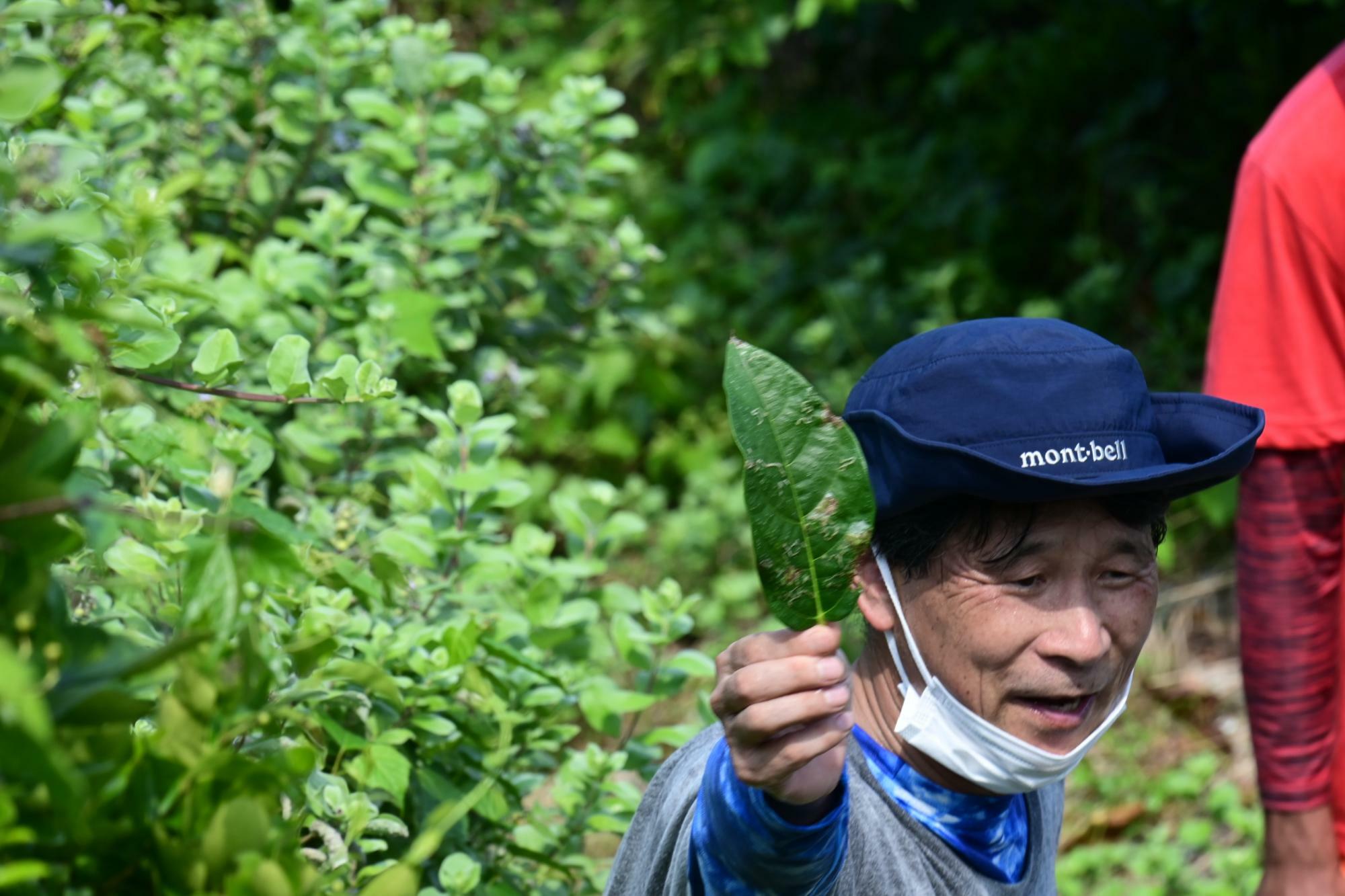 角島こども探検隊　親子で海辺の昆虫観察会の様子