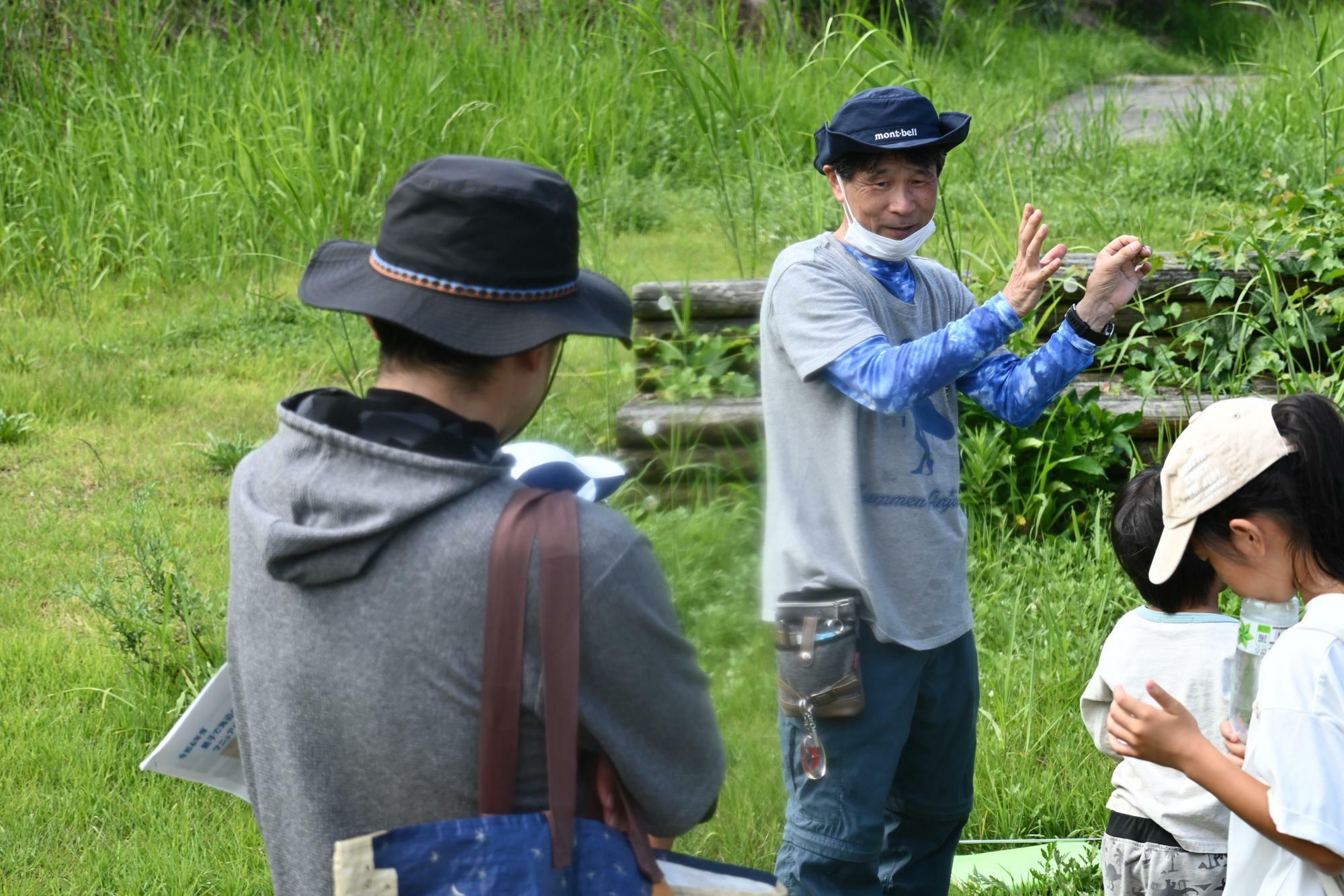 角島こども探検隊　親子で海辺の昆虫観察会の様子