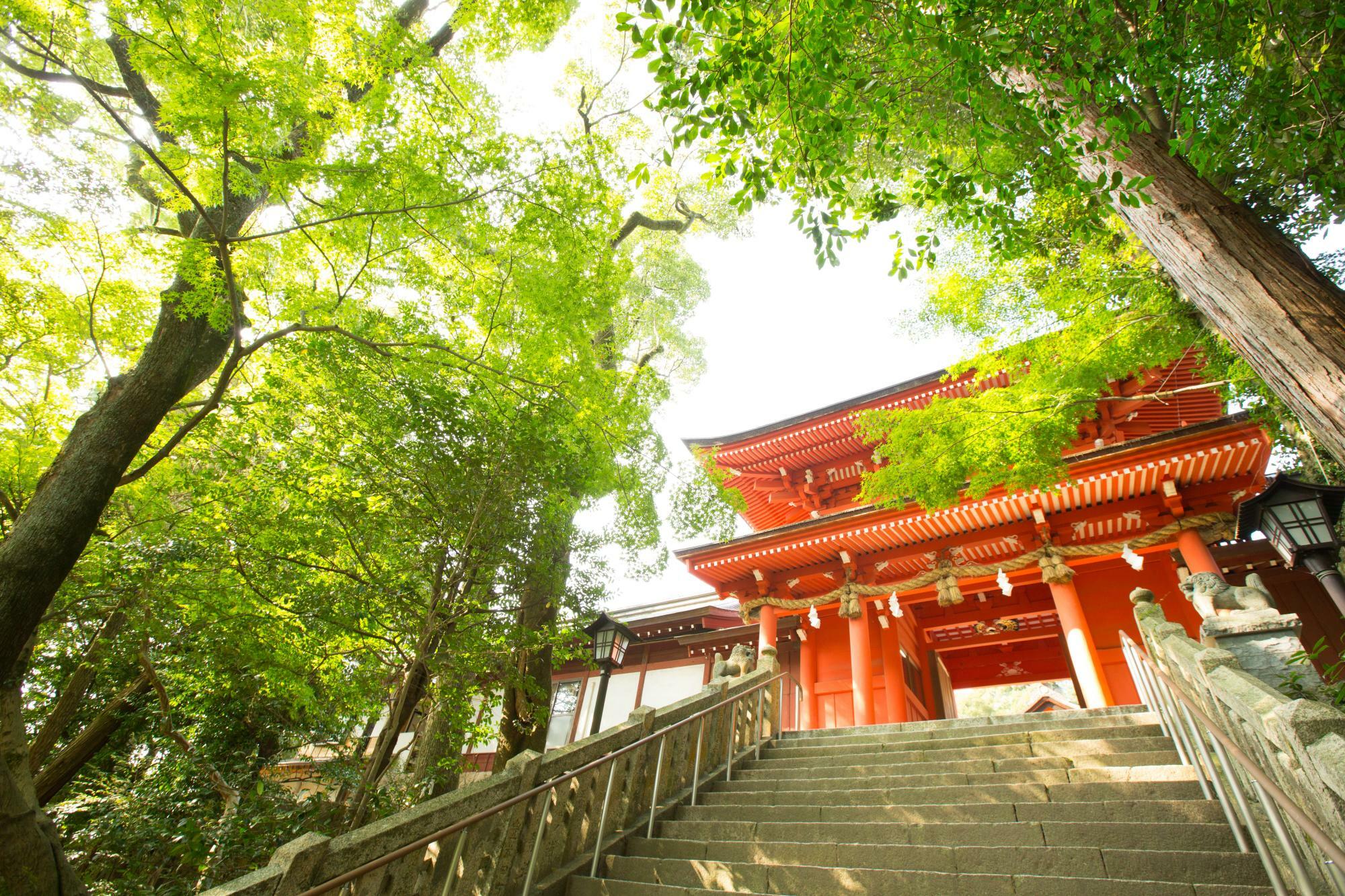 資料提供：長門國一宮 住吉神社　山村様　住吉神社 楼門を撮影したもの