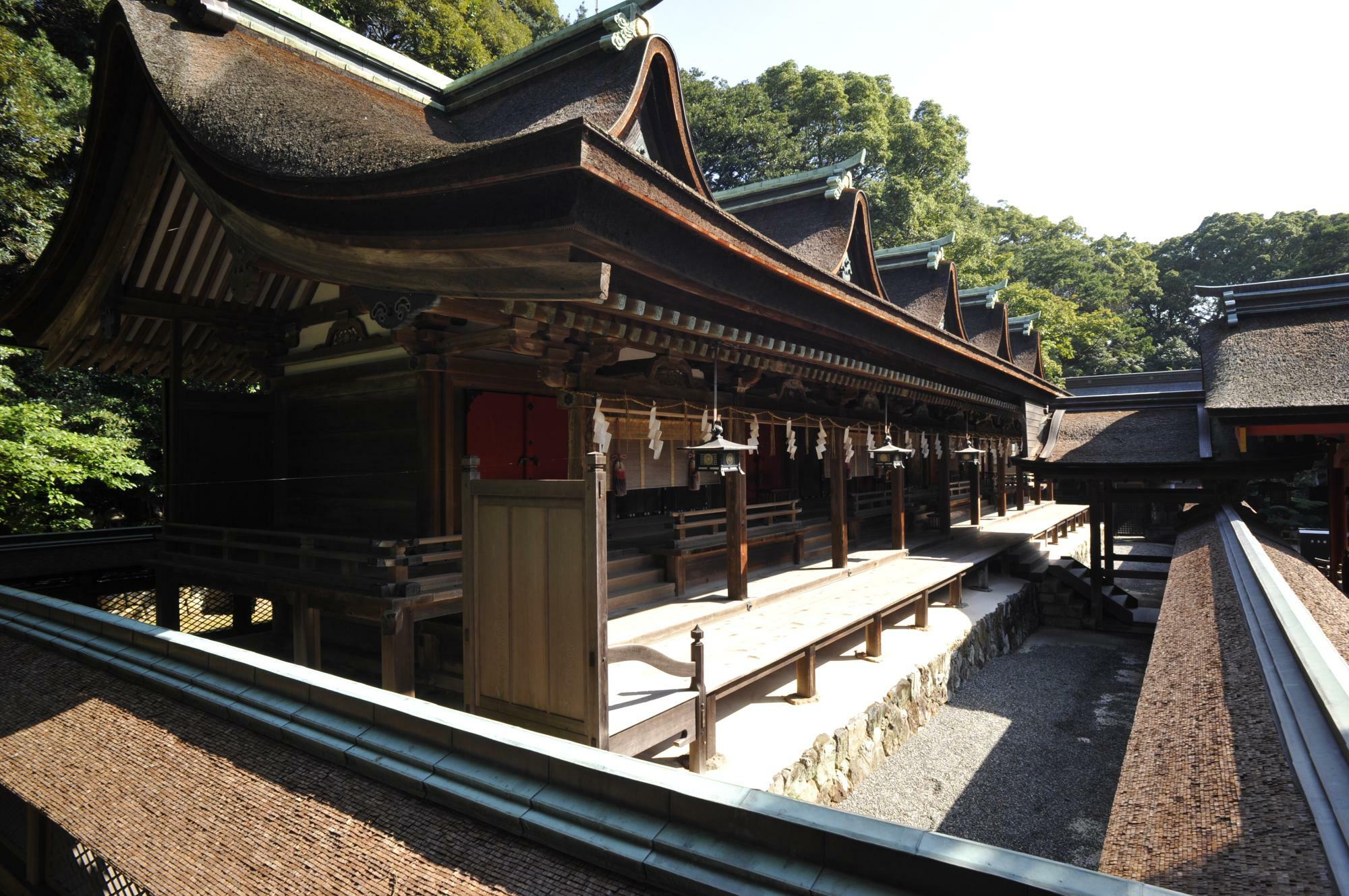 資料提供：長門國一宮 住吉神社　山村様　住吉神社本殿を撮影したもの