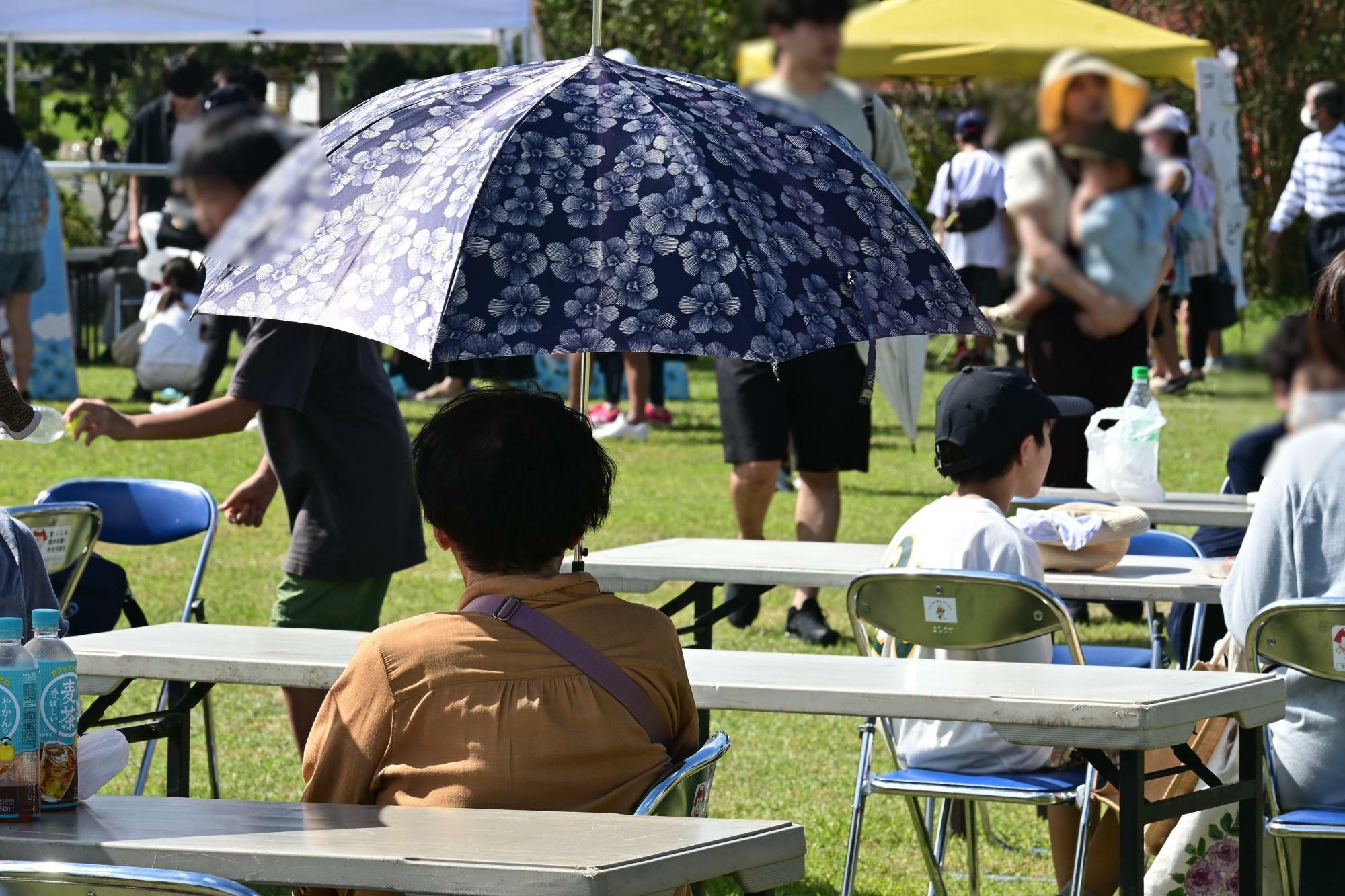 資料提供：豊田のふるさと祭り実行委員会