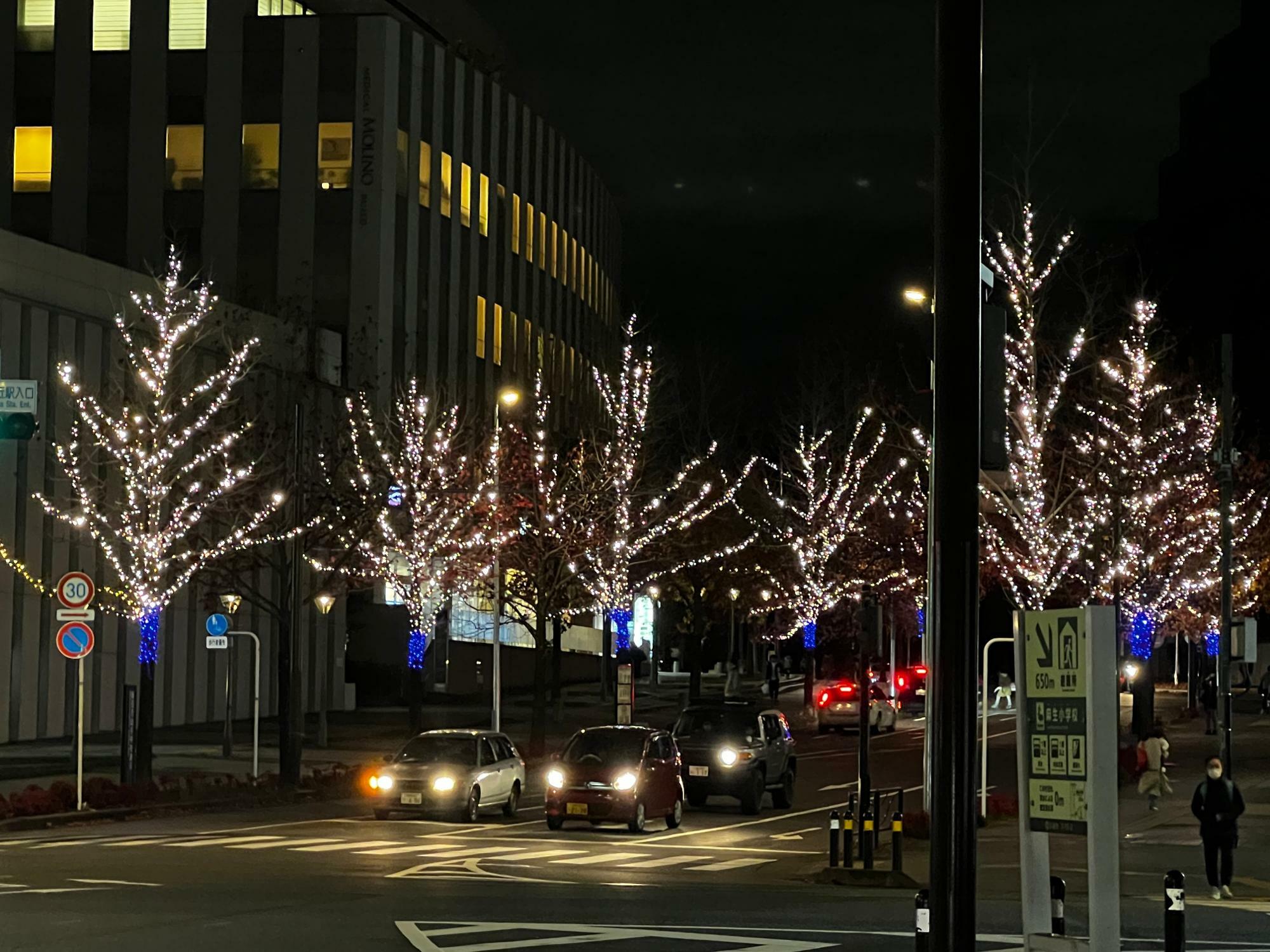 川崎市アートセンター前のカエデ並木も美しく点灯。車中から見ると光のトンネルをくぐっているような雰囲気が楽しめます。