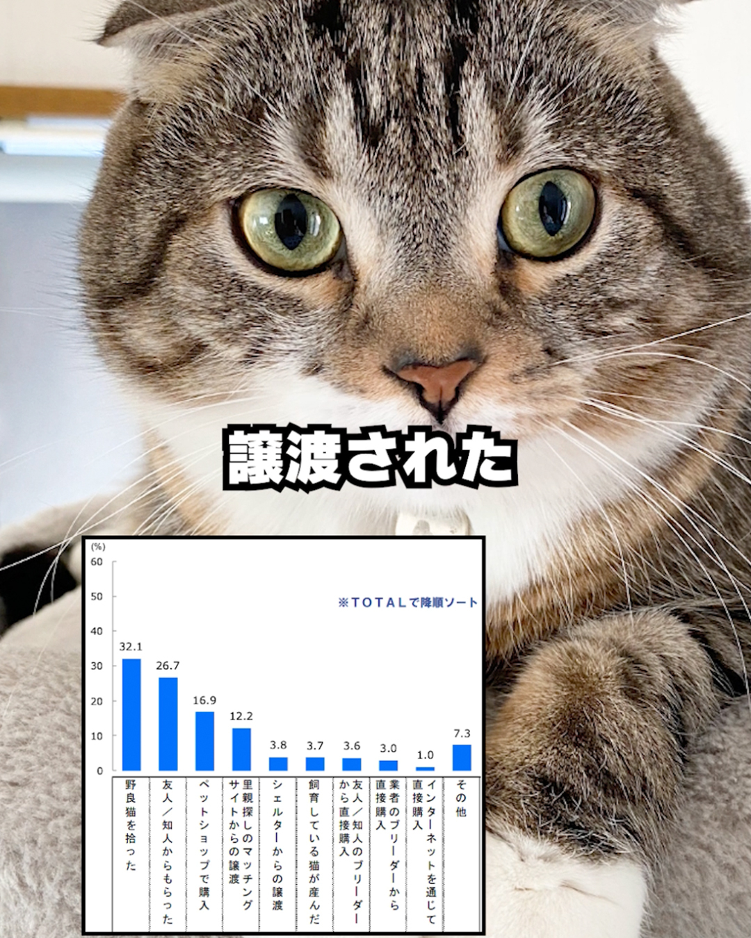 出典：https://petfood.or.jp/data/chart2022/index.html