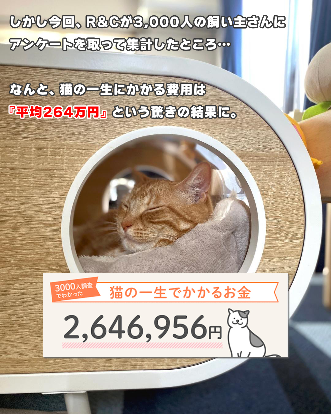 お金の副を呼ぶ猫(⌒‐⌒早い者勝ち。 - その他