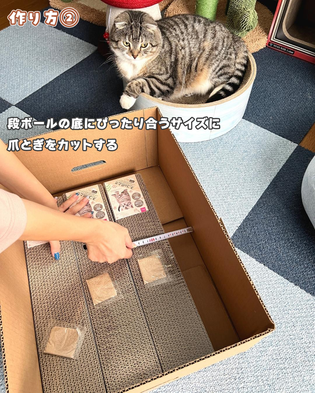 ダイソー】猫の爪とぎを自作したら猫が気に入りすぎて出てこなくなりました（ねこぞー） - エキスパート - Yahoo!ニュース