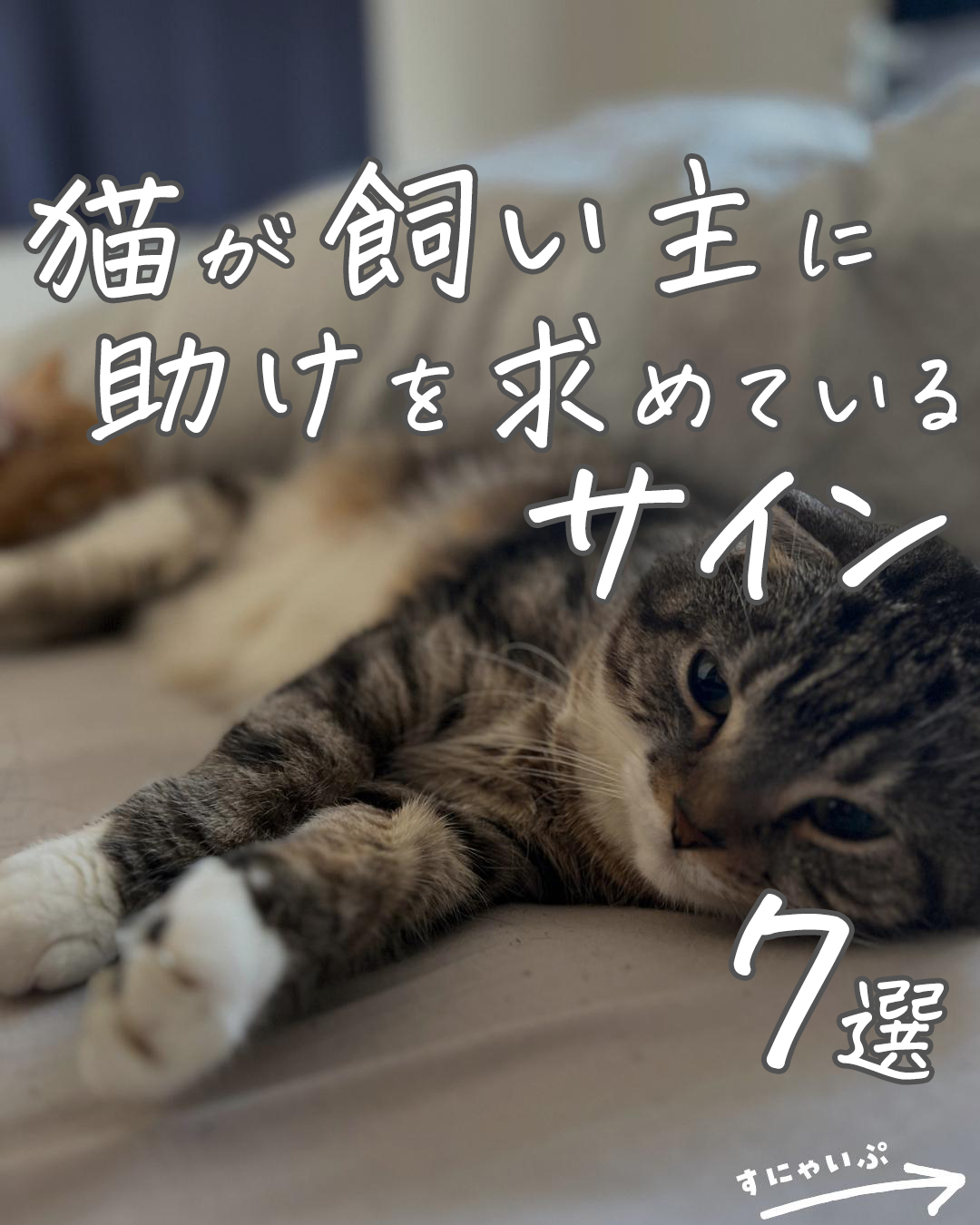 唖然】猫からのSOSサインを調査したら衝撃の行動が判明！（ねこぞー