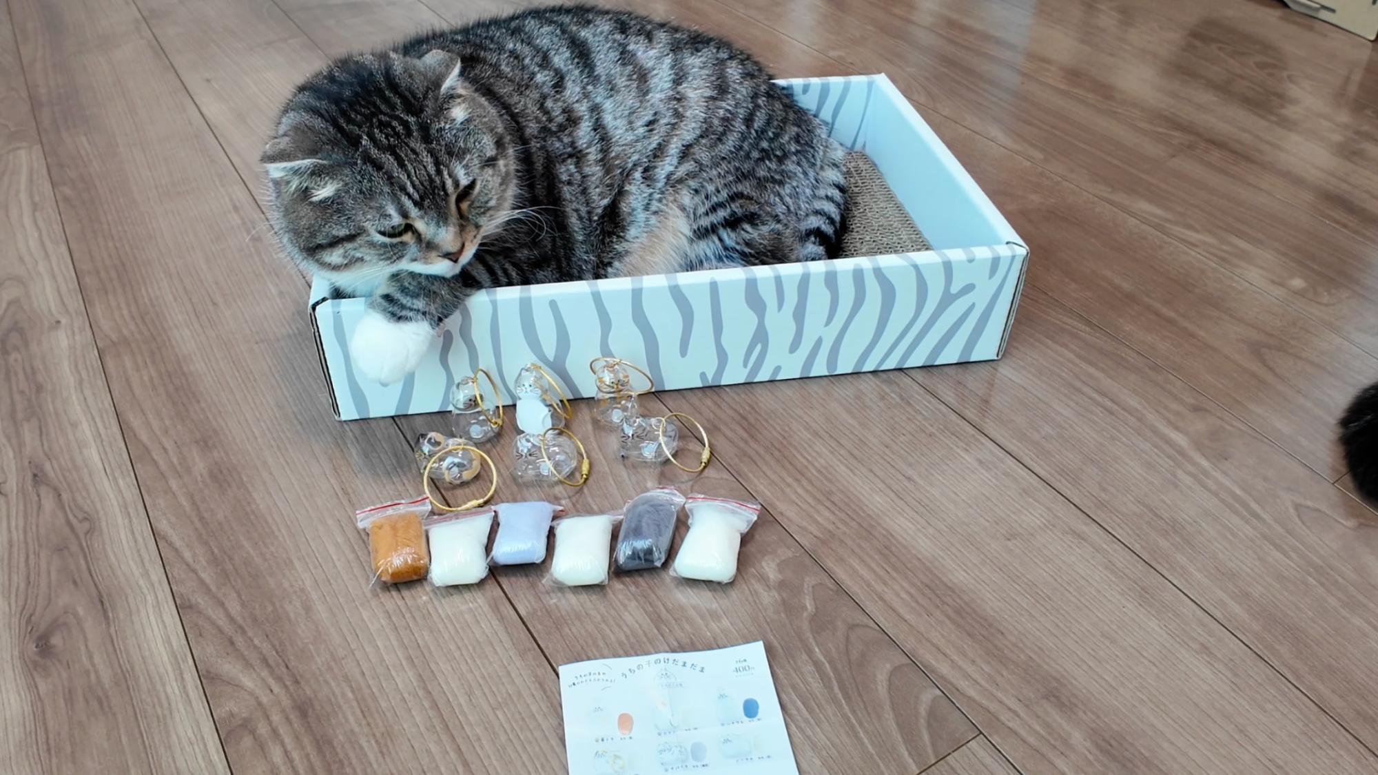 最大80％オフ 話題のガチャ「うちの子のけだまだま」が衝撃のかわいさ！（ねこ その他