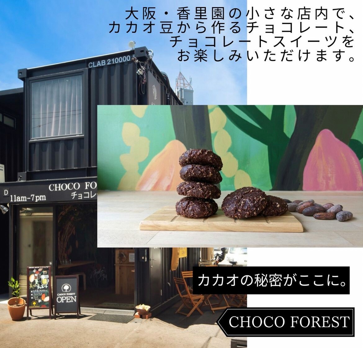 CHOCO FOREST