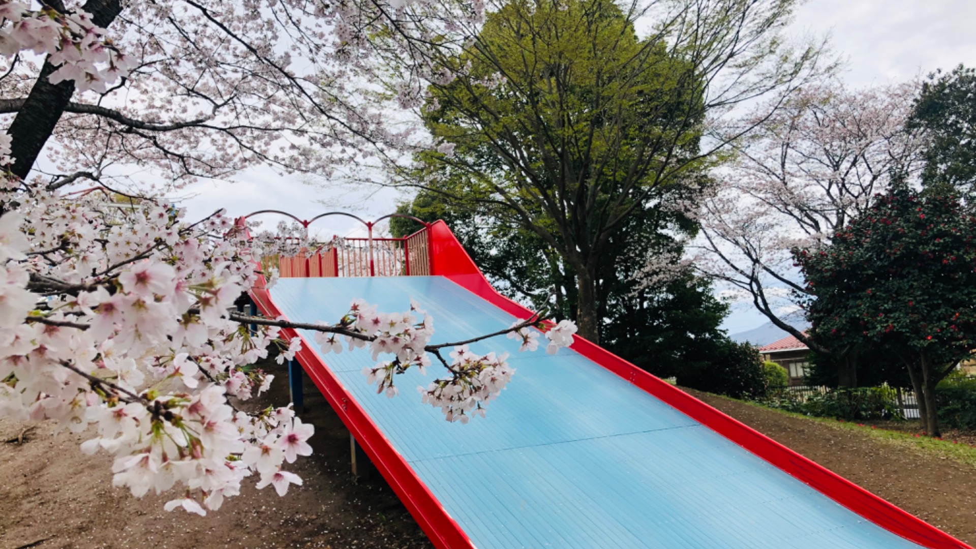 筑西市／県西総合公園　／BBQ／バーベキューレンタル／配達／花見／茨城県