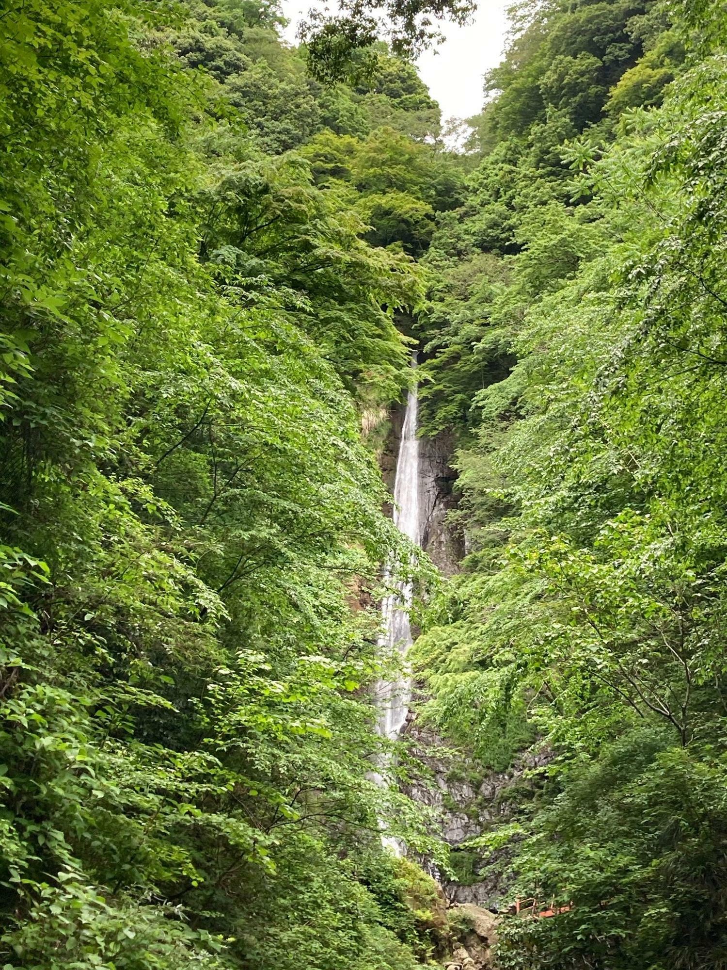 「洒水の滝」滝の音にも癒される、マイナスイオンたっぷりの緑の中