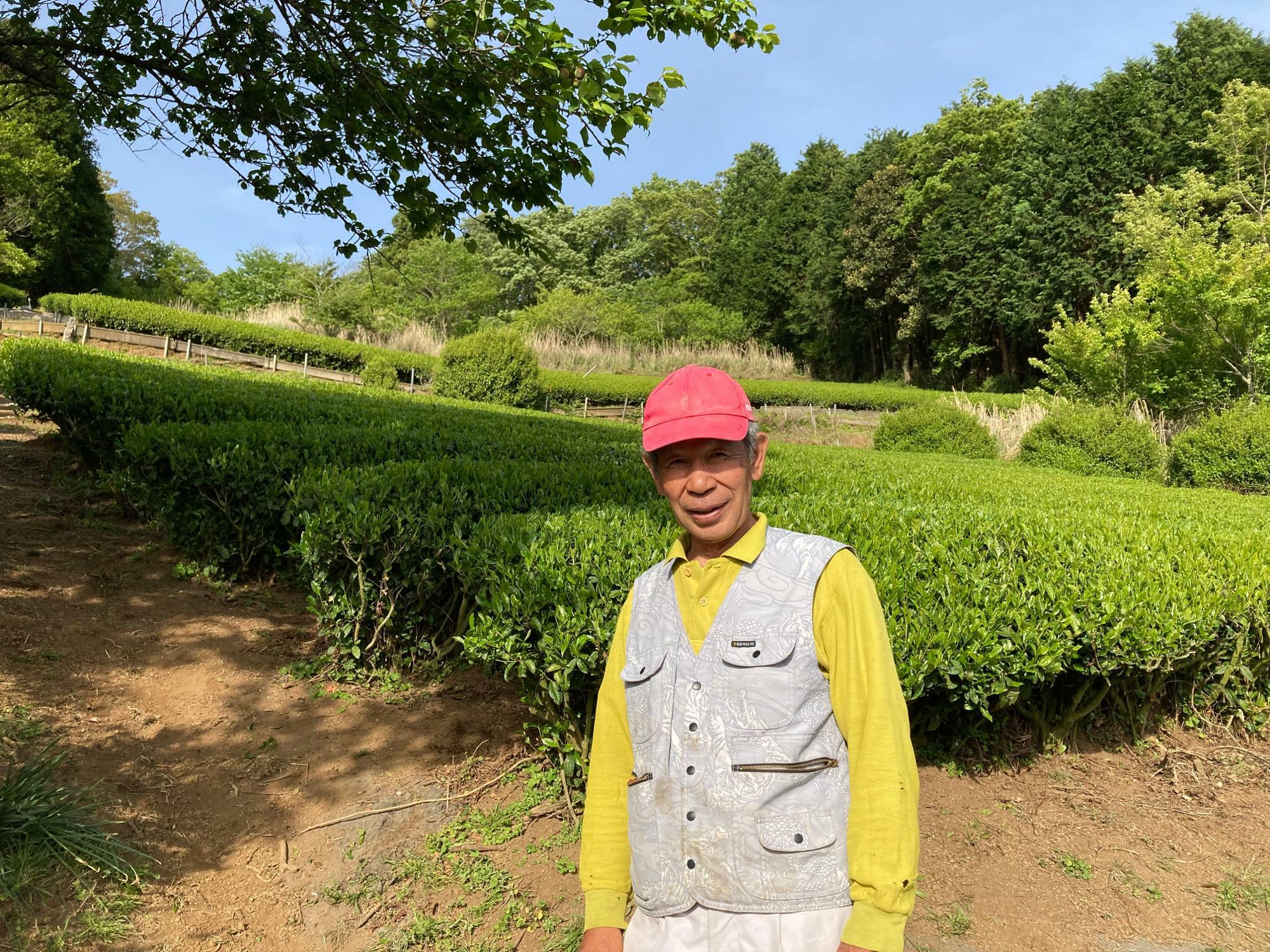 ミュンヘン山北お茶プロジェクト代表　井上正文さん。茶摘み後の茶畑を背景に。
