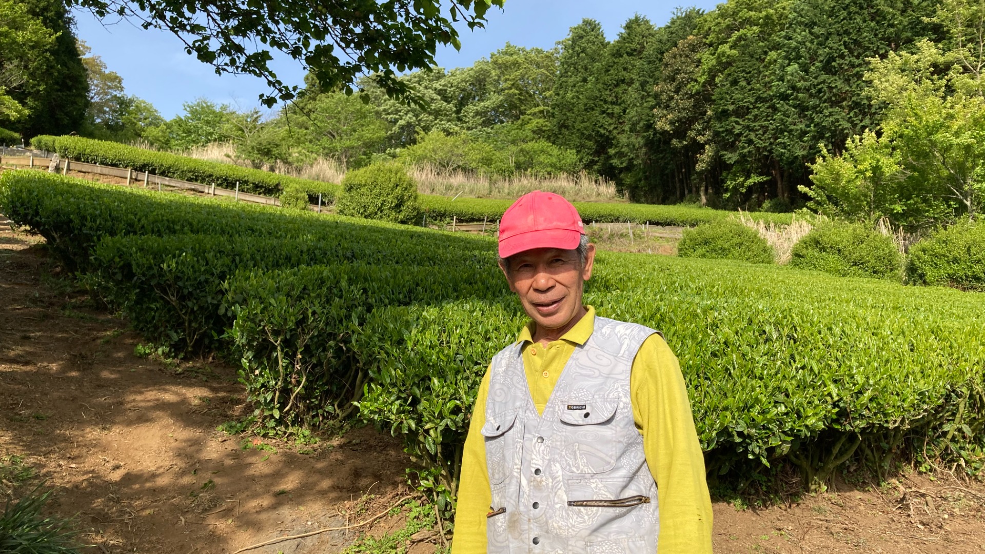山北町」のお茶がドイツ・ミュンヘンに!生産者の井上さんの新たな挑戦