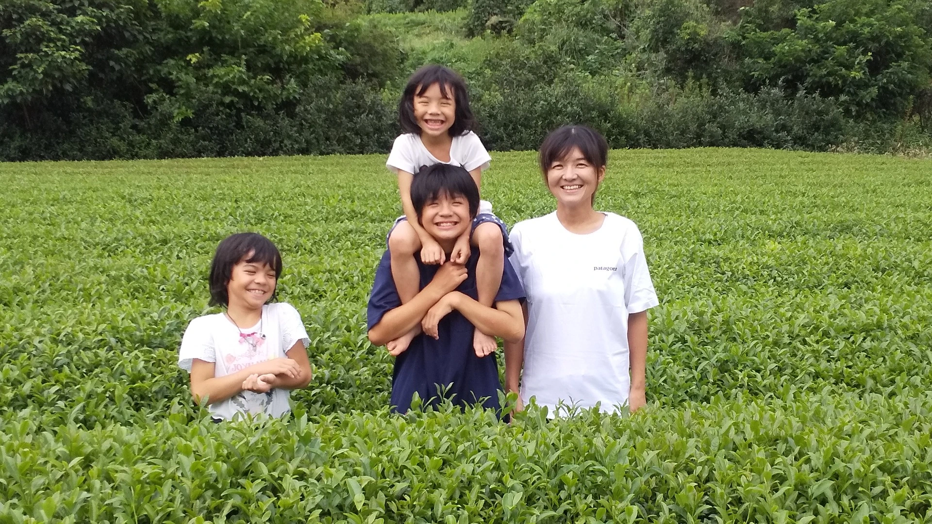 生産者は３児のママ！松江の茶畑と茶工場を守りたいと奮闘中【島根県