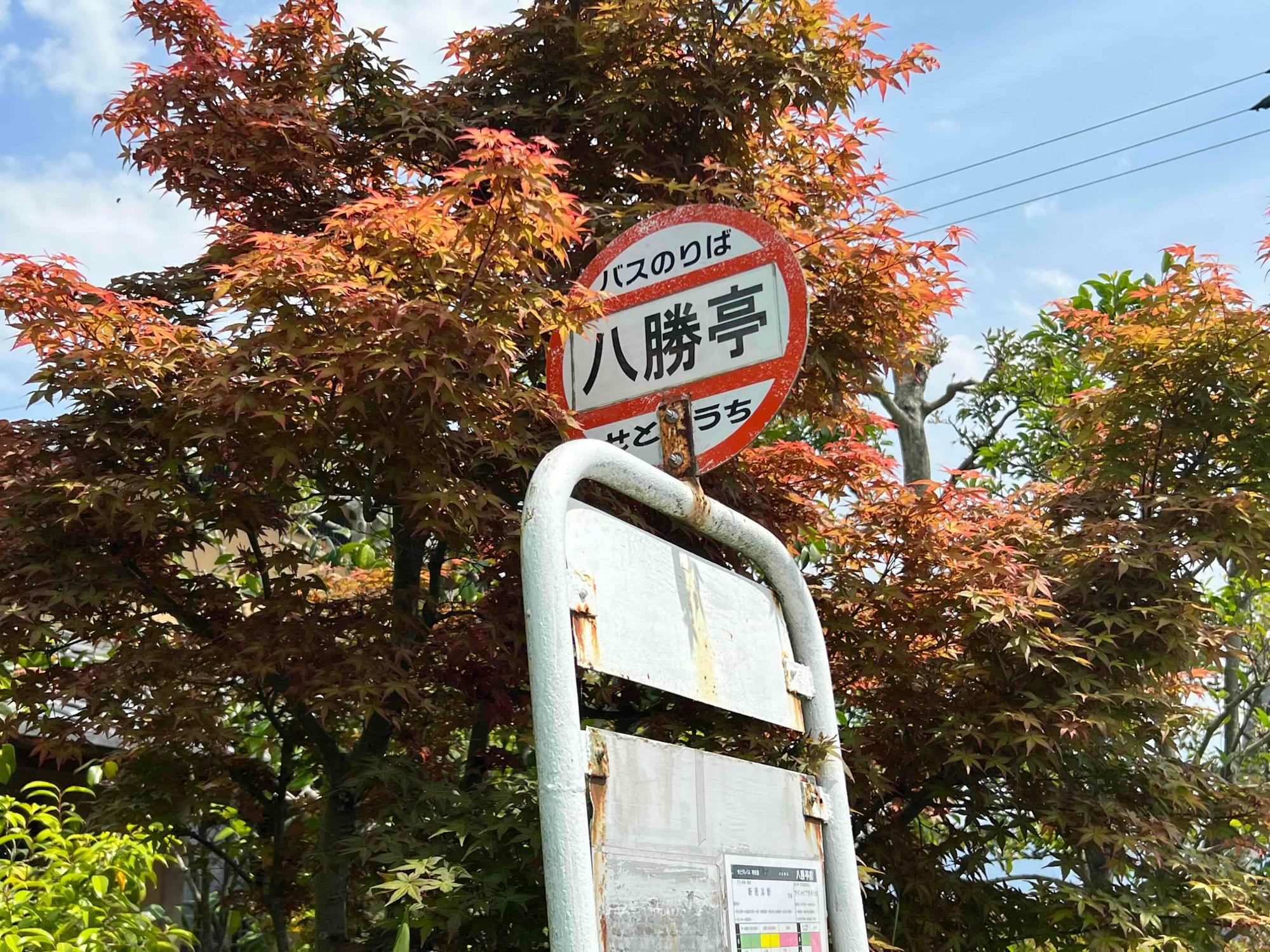 「八勝亭」というバス停があるのも長年地域に愛されている証だと思うのです。