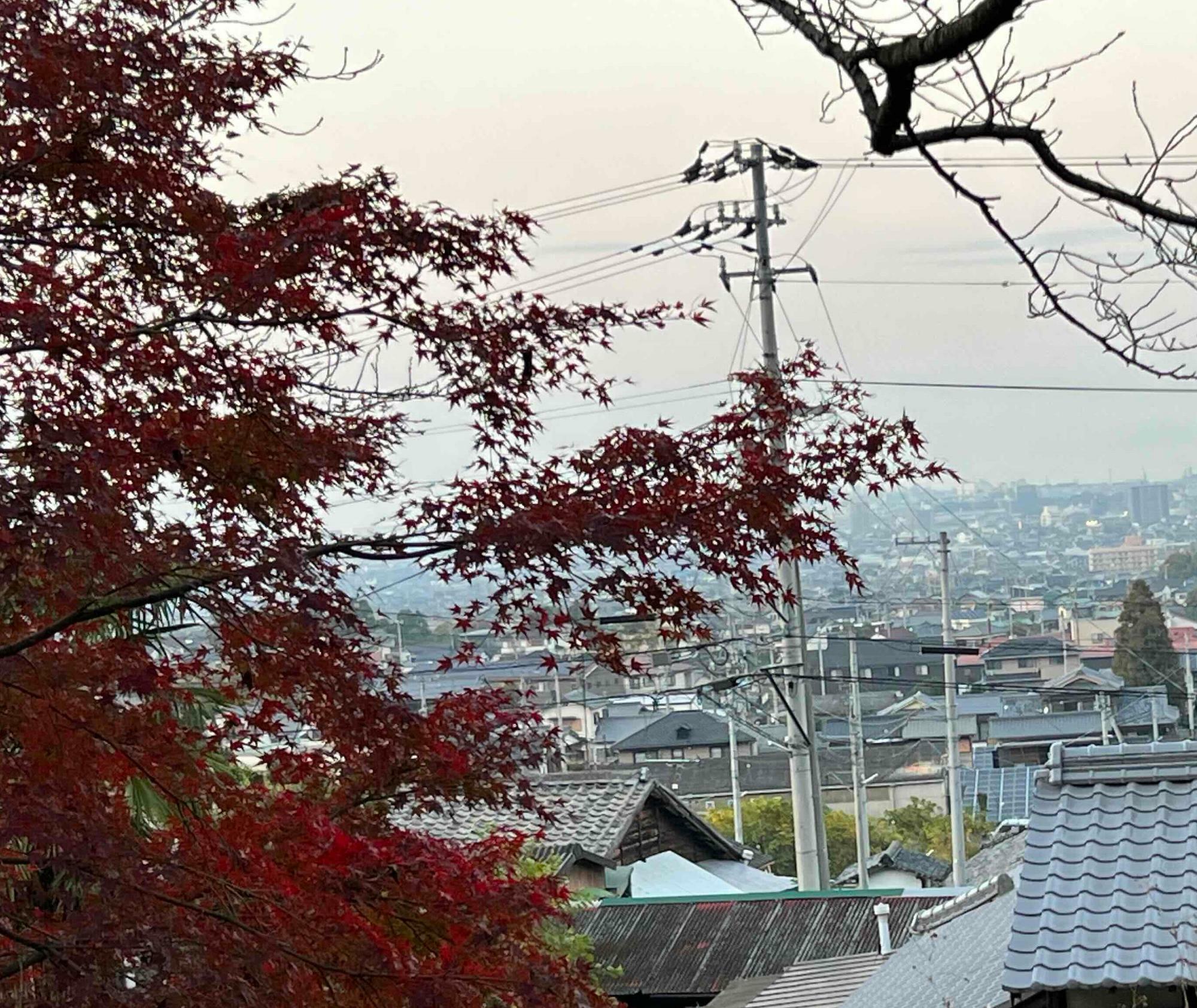 あじさいロードからは新居浜市内も一望できますよ。