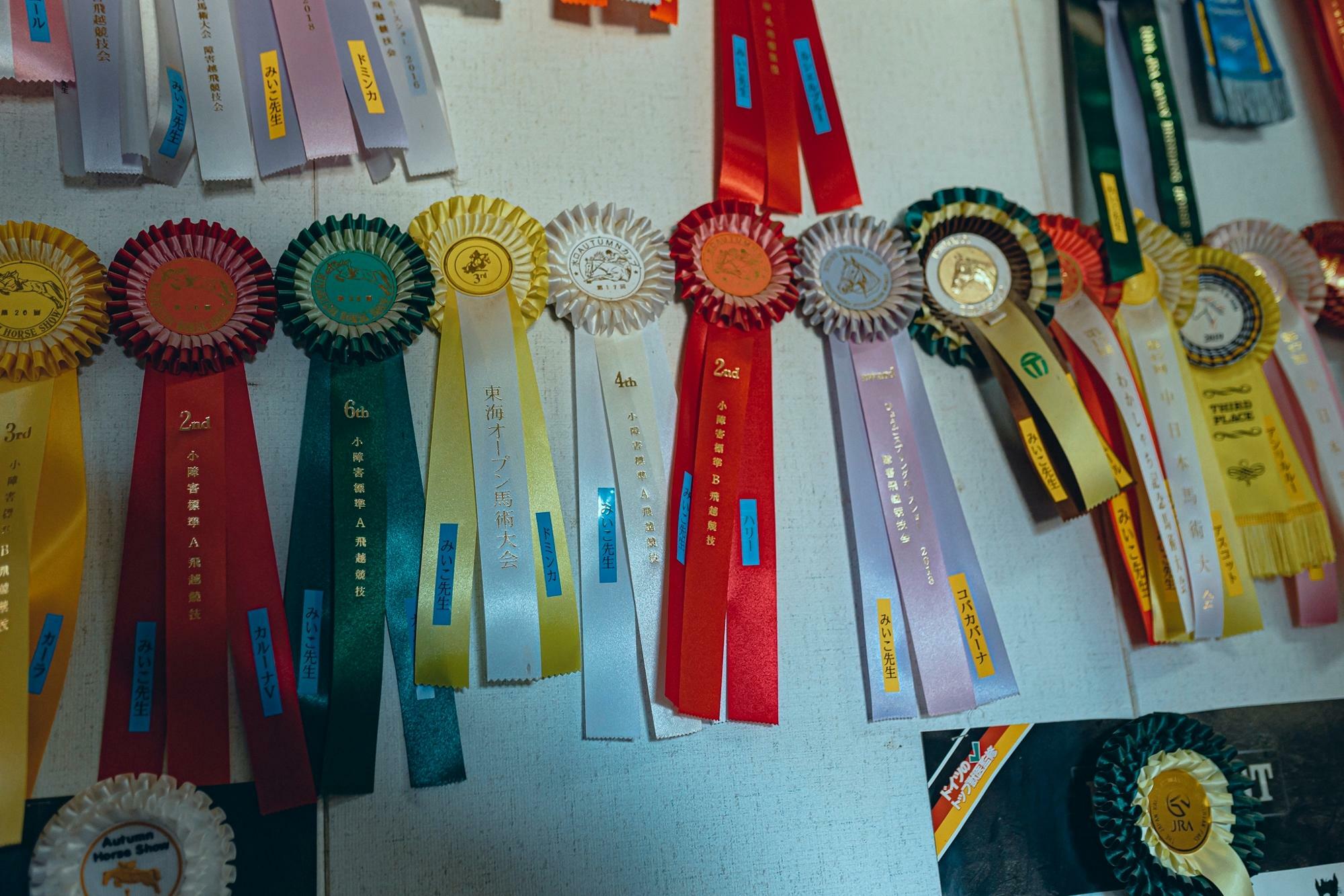 乗馬大会での賞を獲得した勲章がたくさん！！