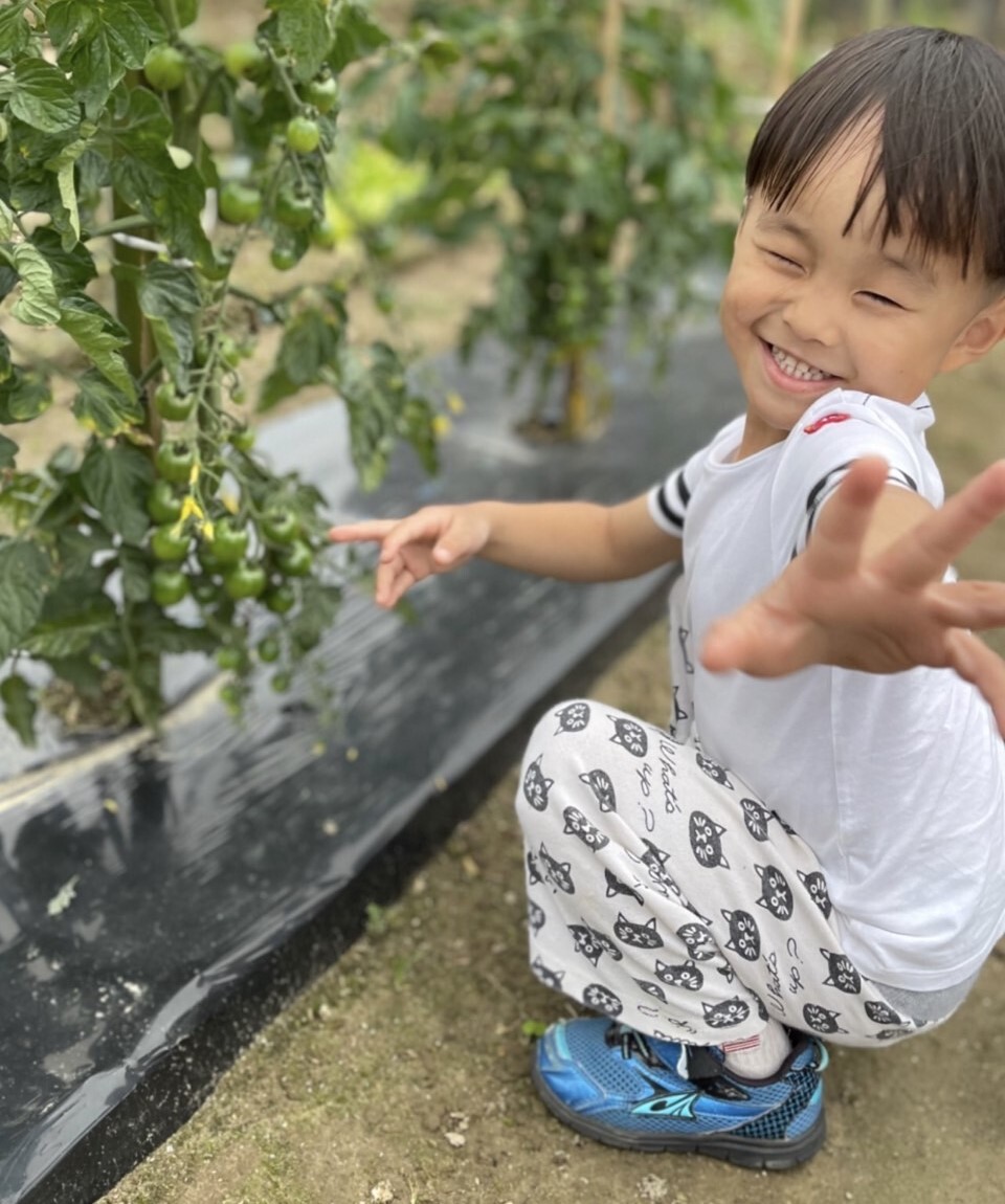 自分で収穫したお野菜は特別に美味しいよ！！