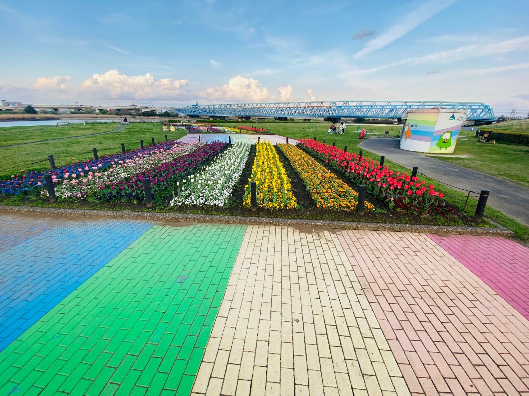 たくさんのお花が「虹の広場」の虹を完成させてくれます
