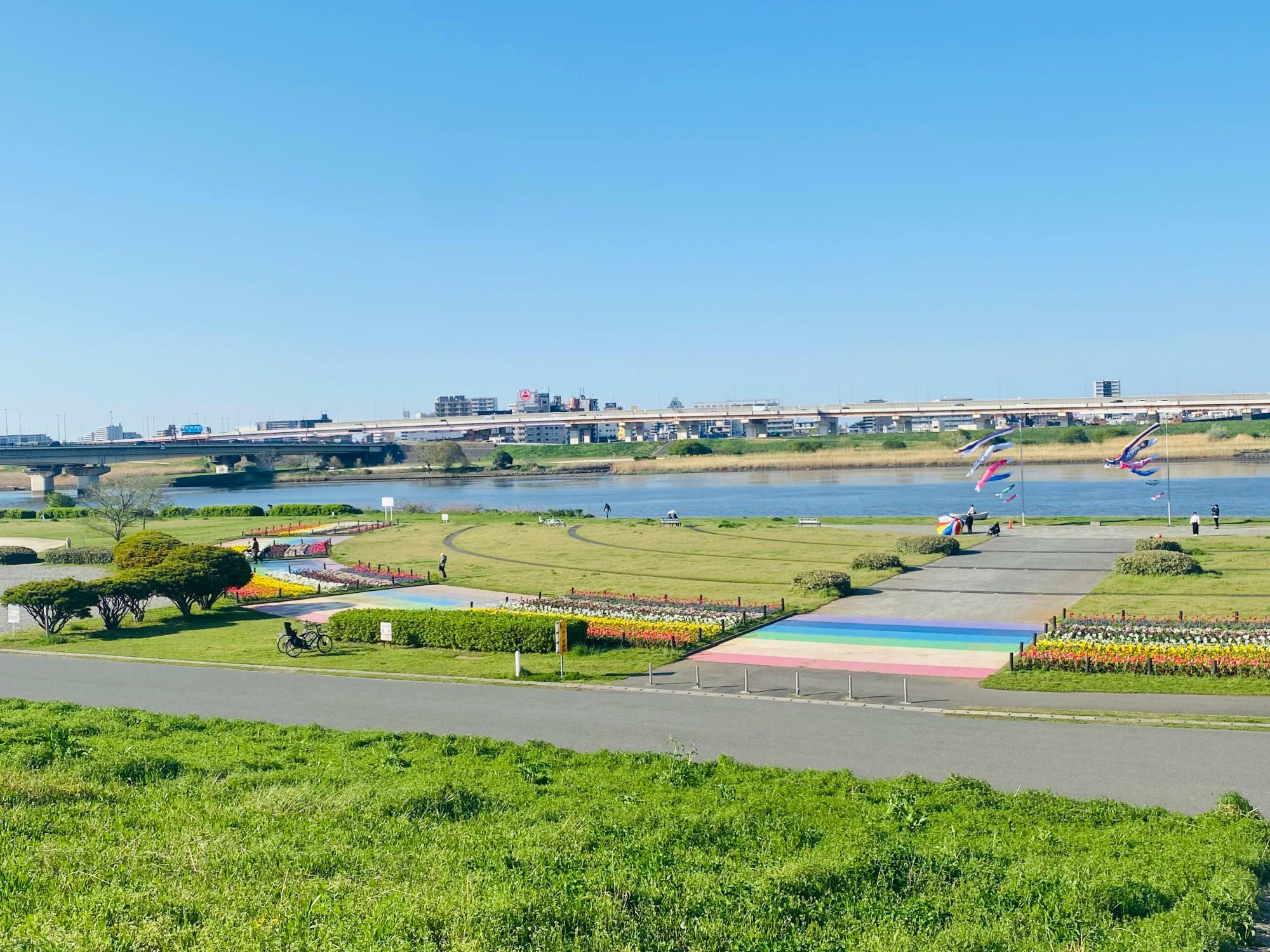 荒川河川敷「虹の広場」　※土手上からの眺め （2024年4月10日撮影）