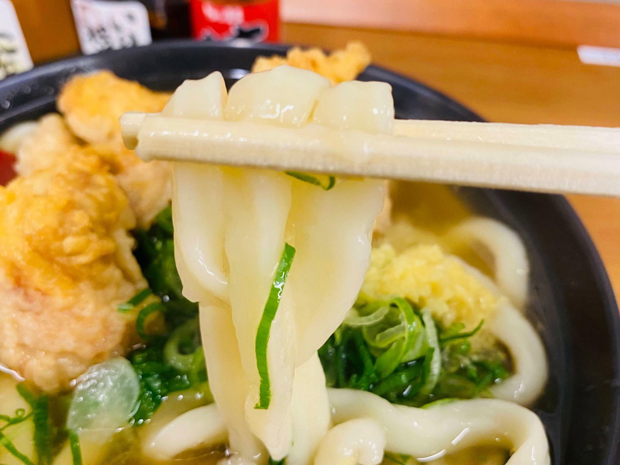 ツルッとした舌触りを堪能できる「いぶきうどん」のうどん