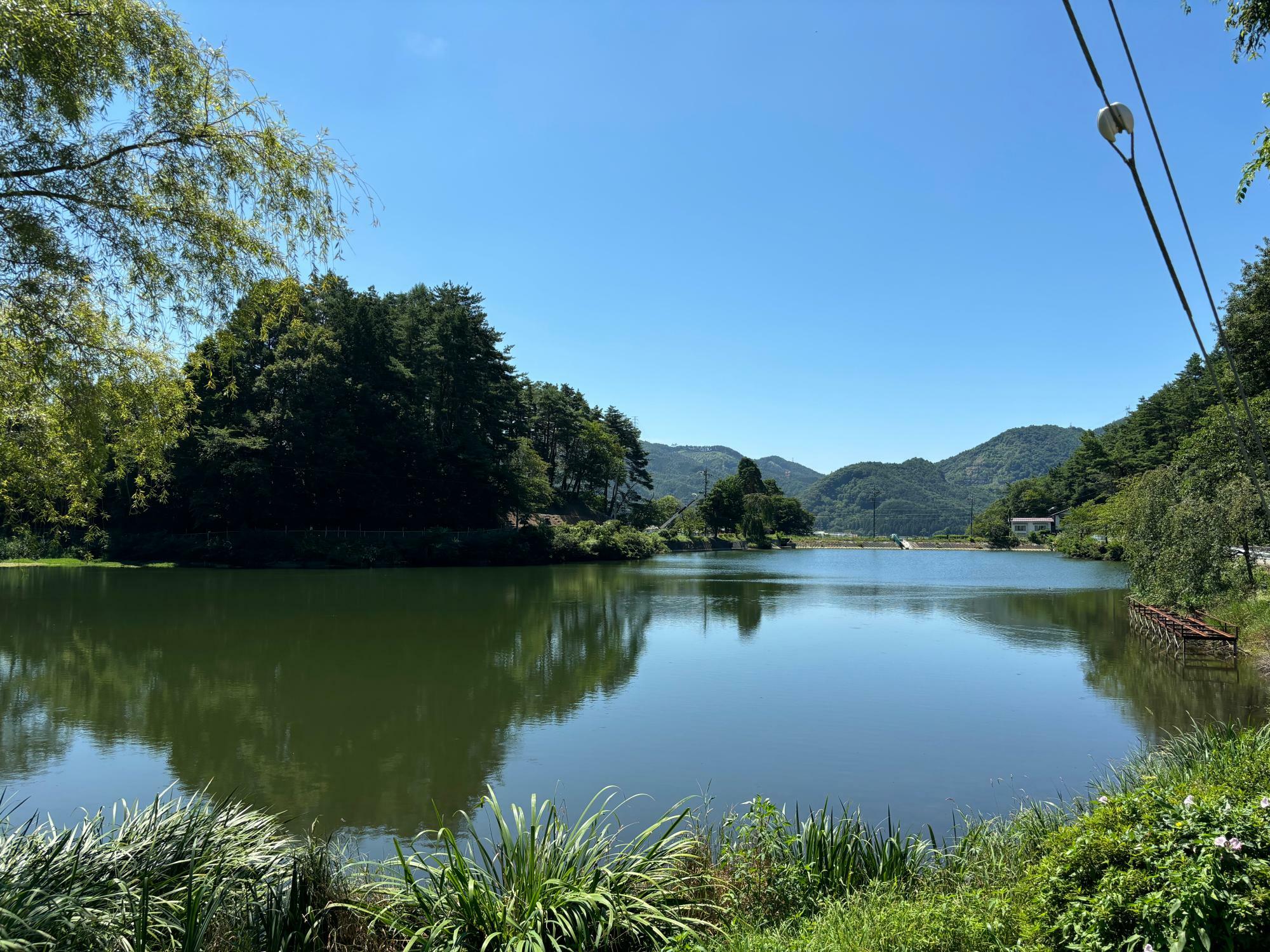 小坂田公園内、小坂田池で花火を打ち上げます。