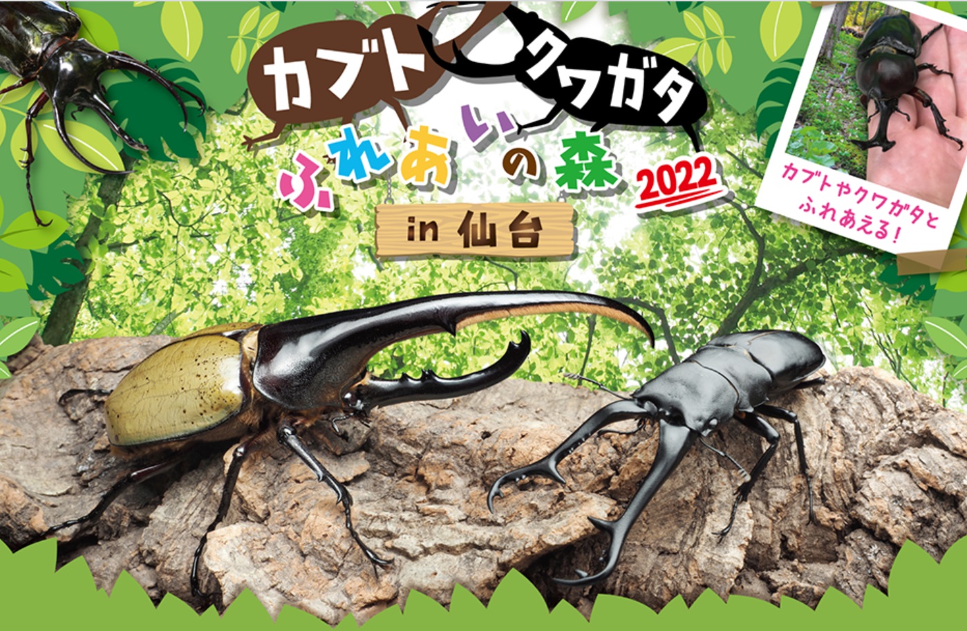 ロイター板 踏切板