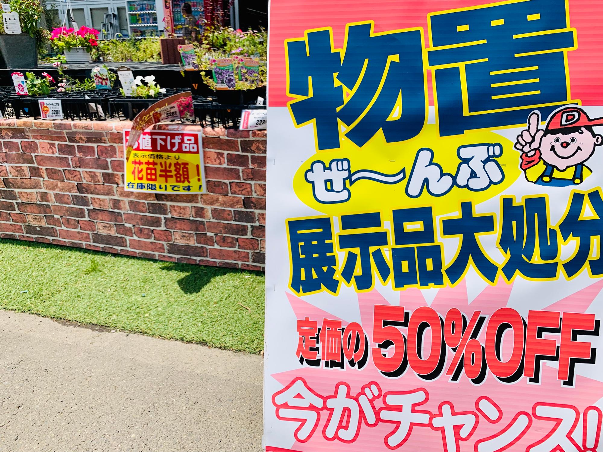 仙台市】物置・花苗など全て半額？！ ダイシン中田店閉店に伴い大放出