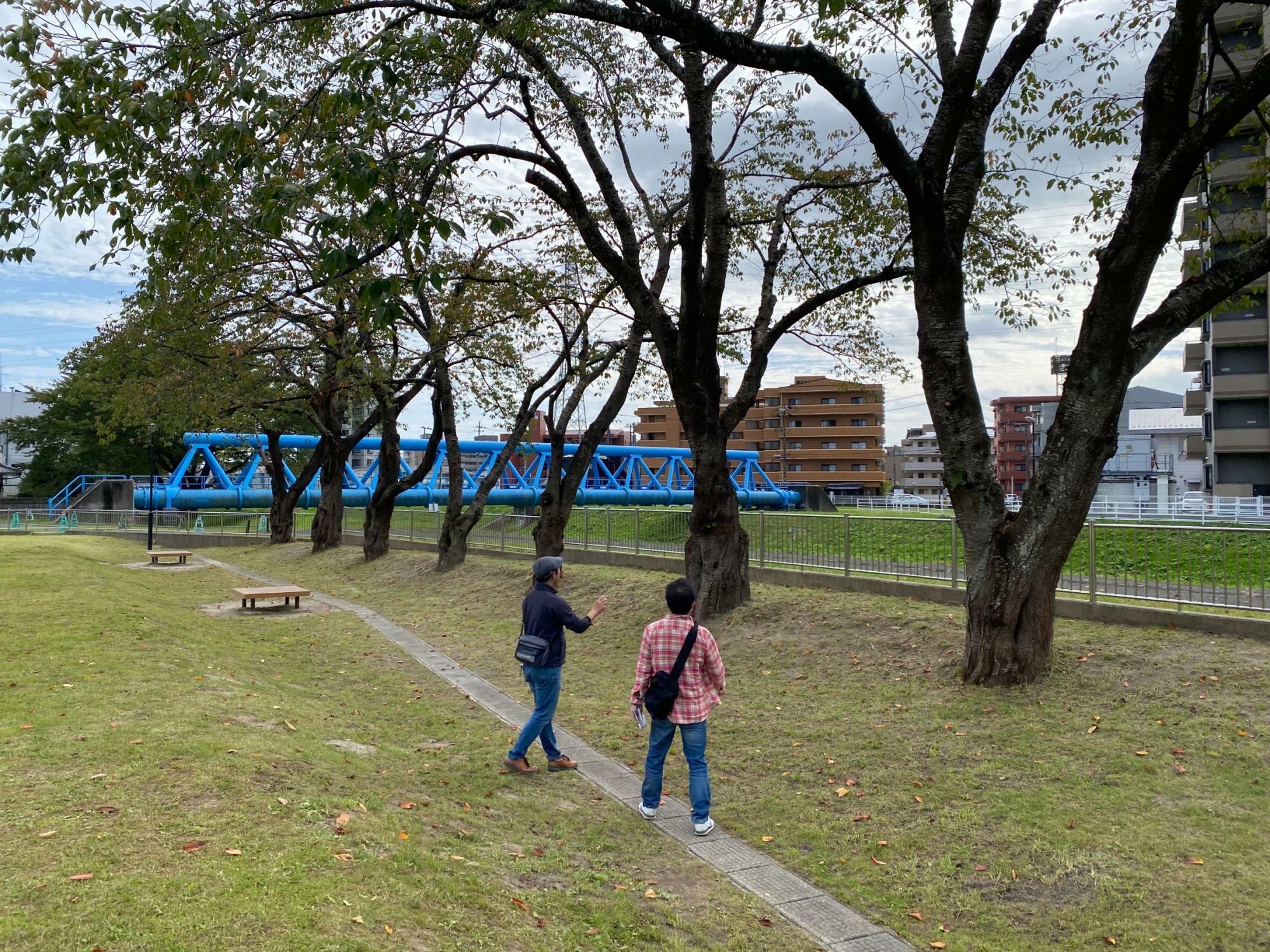 大野田イコタ公園