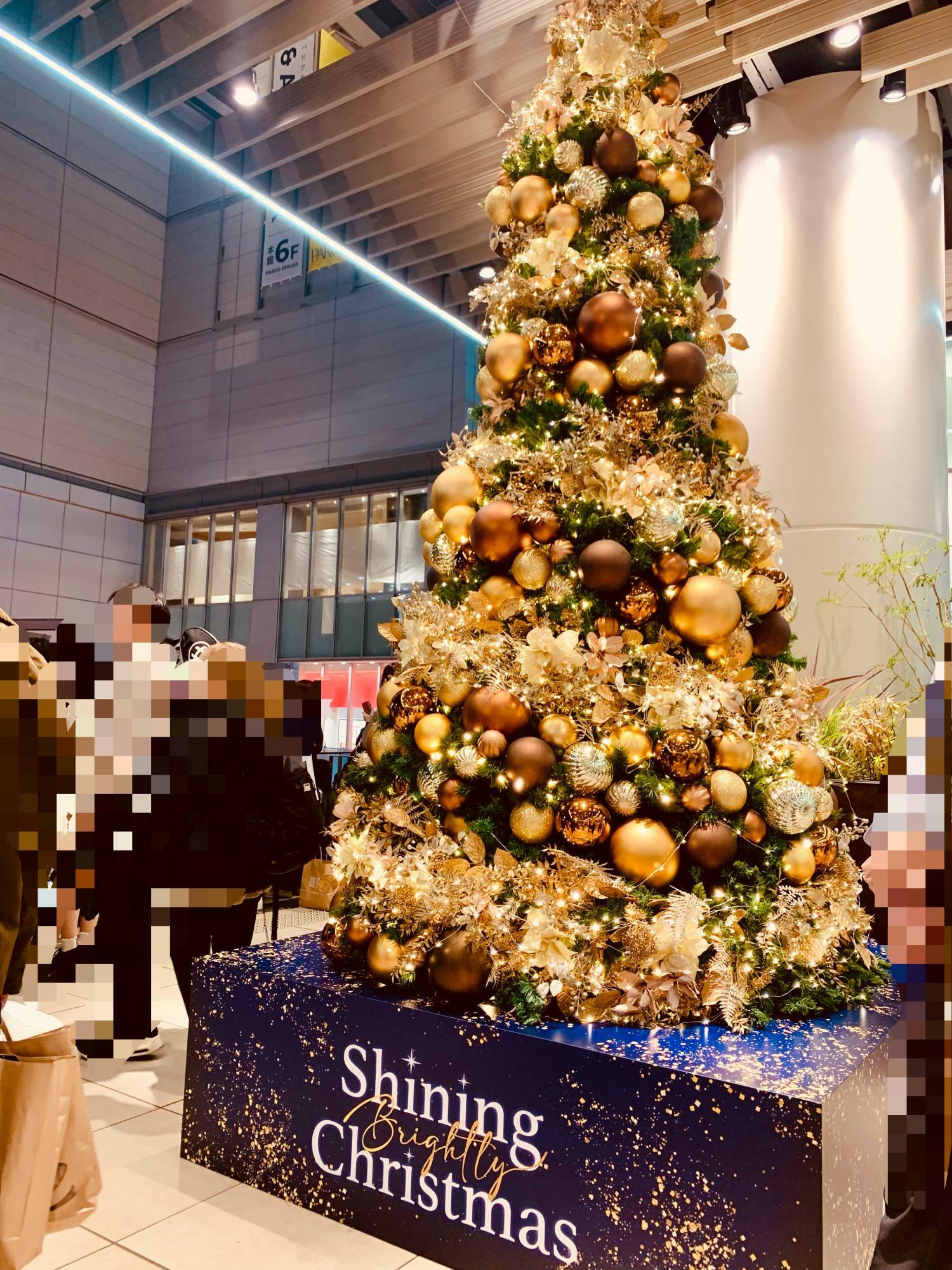 S-PAL仙台Ⅱ前クリスマスツリー