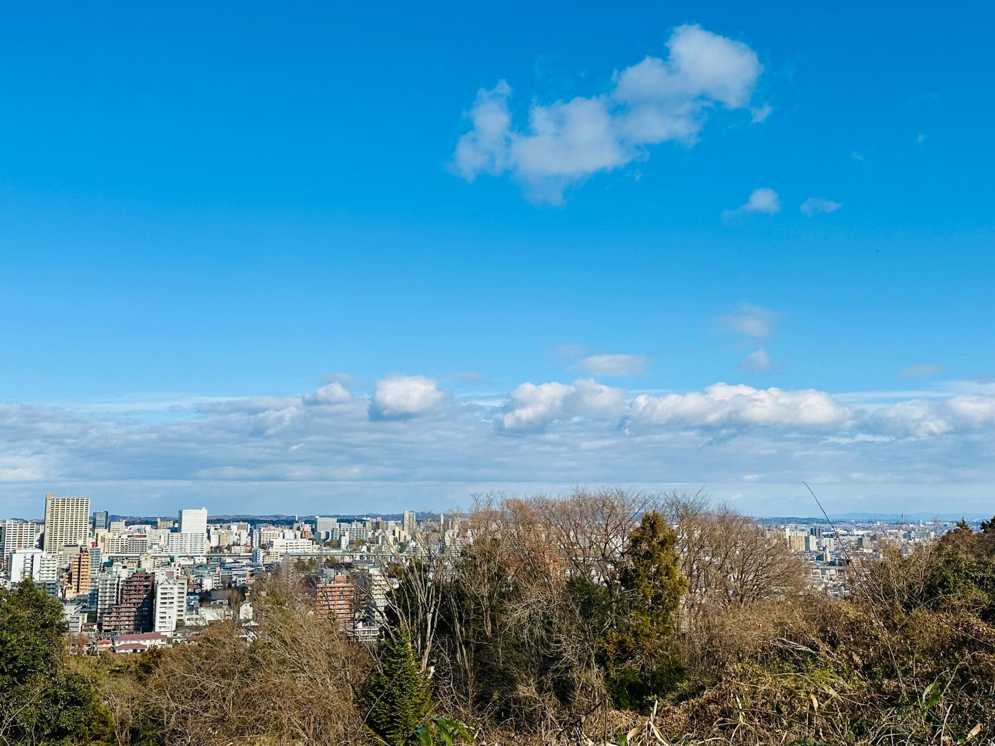 大年寺山公園