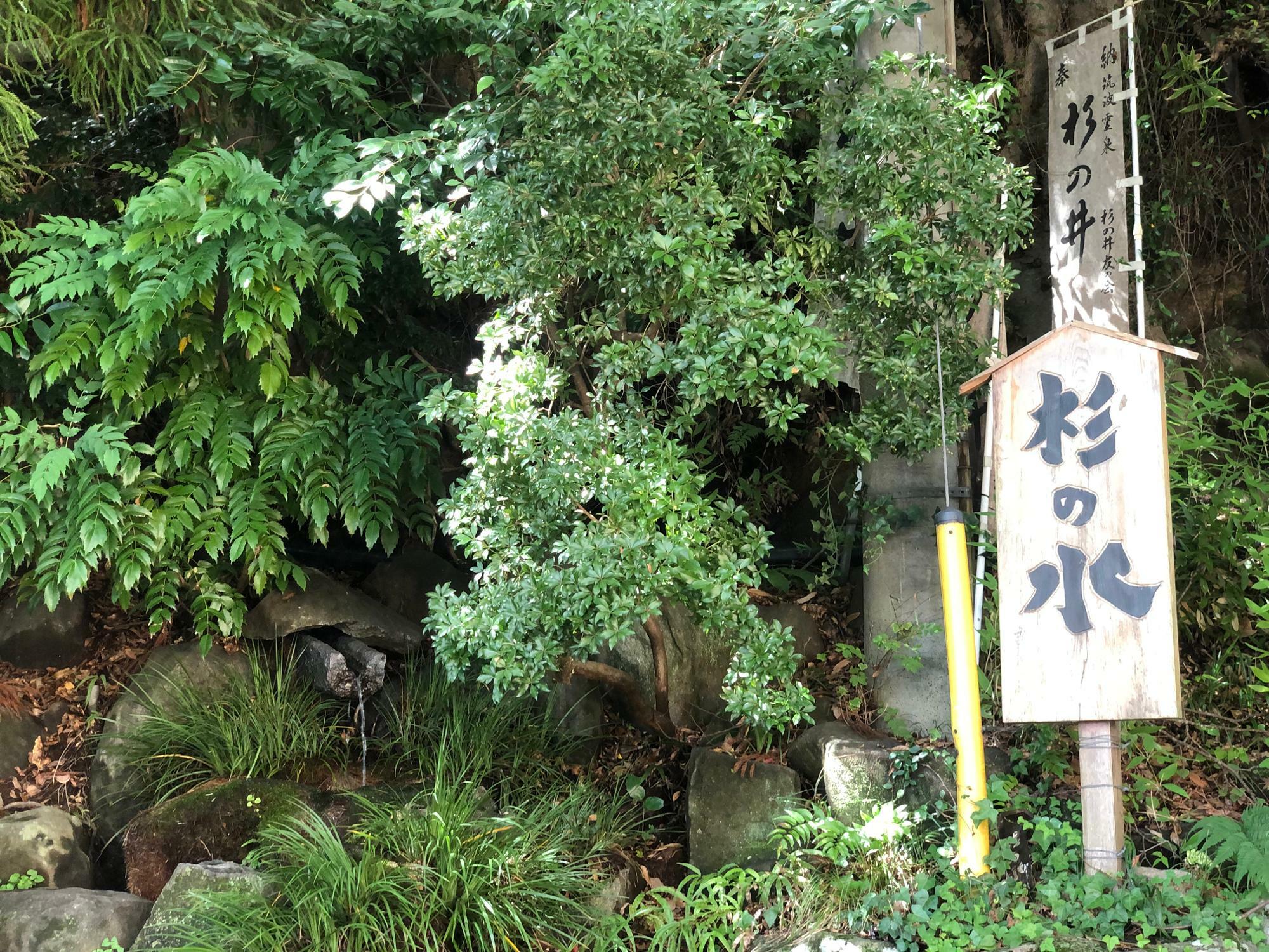筑波六霊泉の一つ「杉の井」。古来より「甘味蜜の如し」として讃えられています。