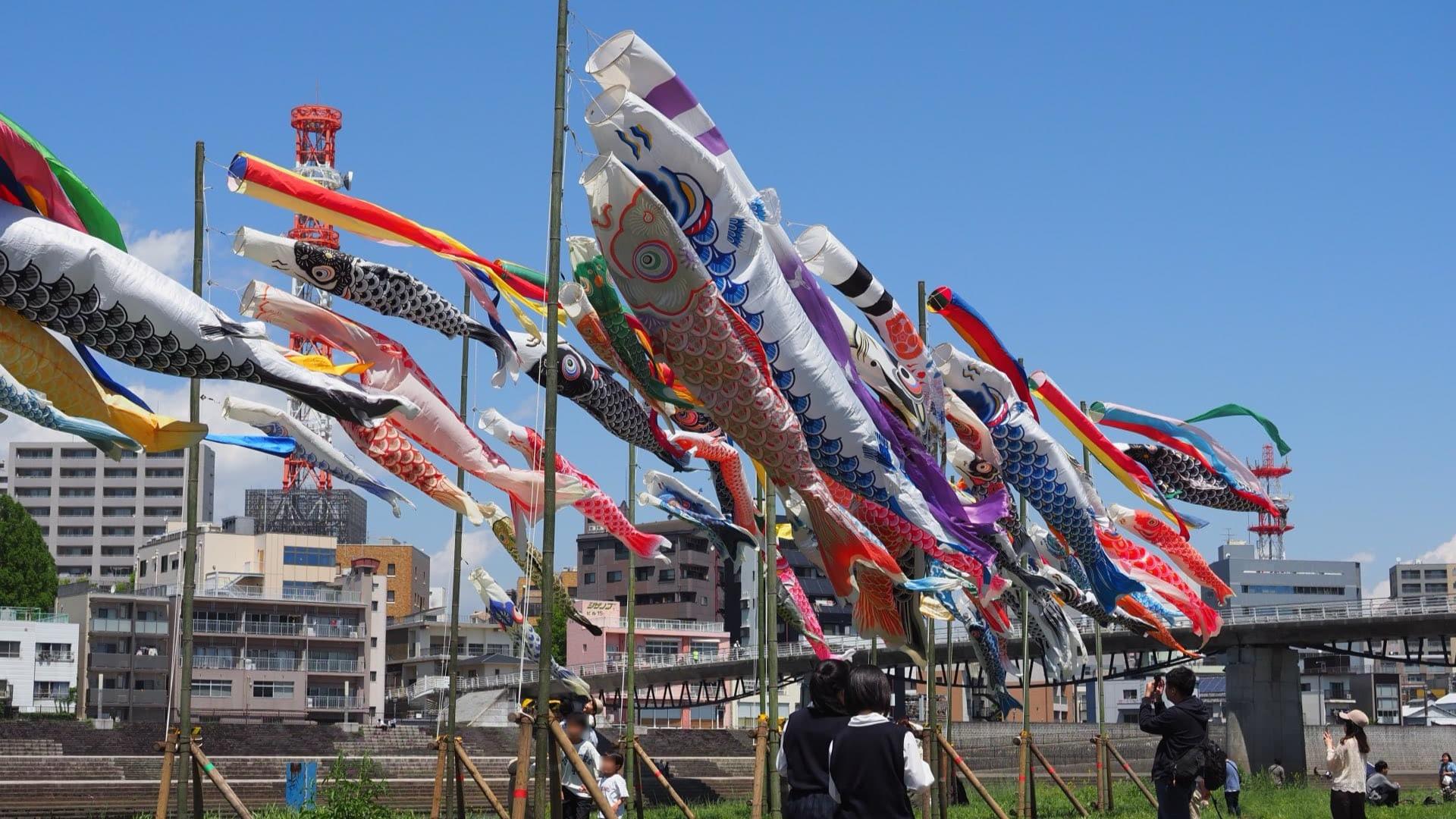 【沼津市】春の風に舞うこいのぼり、狩野川で鮮やかに泳ぐ — 沼津で恒例のフェスティバル開催中（NumaLens） - エキスパート - Yahoo!ニュース