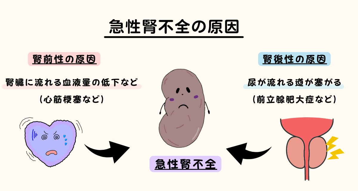 柏木由紀 公式