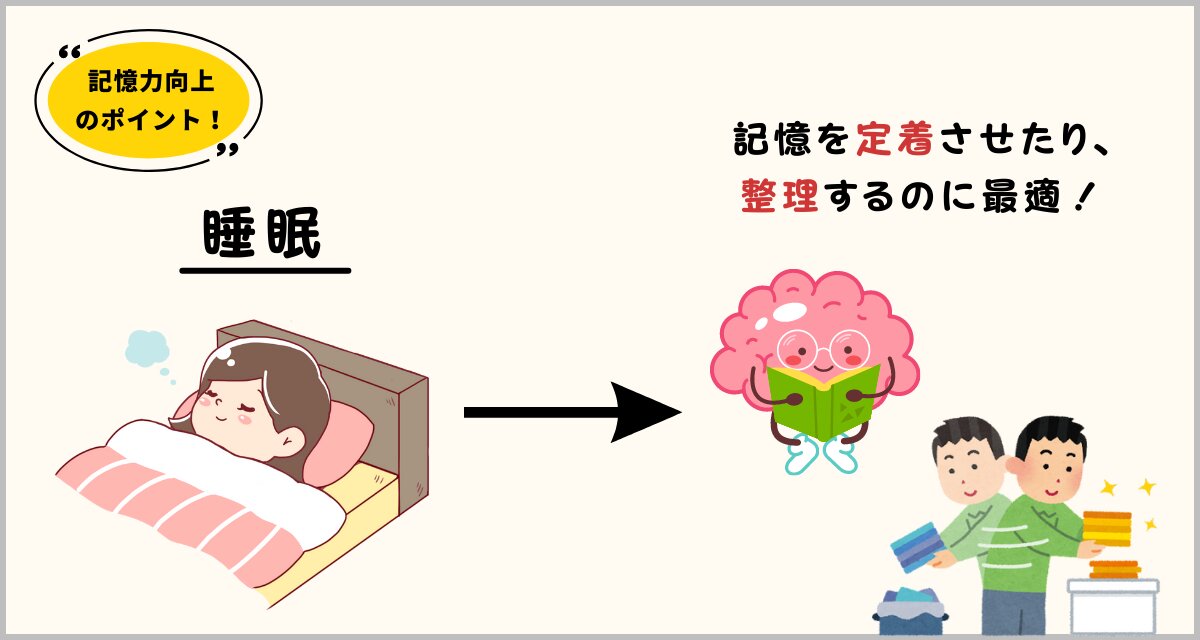 記憶力を良くするポイント5選!】-脳のしくみから考える 記憶力を良くするポイント5選!】-脳のしくみから考える