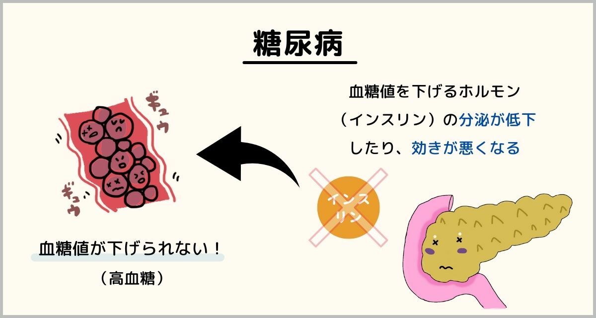 知って得する】-生活習慣病ってなに？原因・症状・予防法は？-分かり