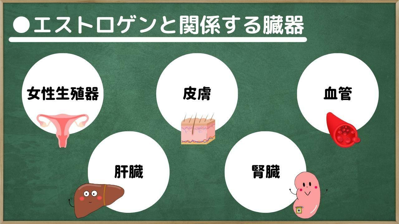 他の臓器も関わっていますが、代表的なものは上記のものです。