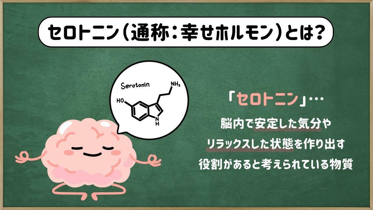 他にも「オキシトシン」などの物質が幸せホルモンと呼ばれることがありますが、一番代表的なものは「セロトニン」です。