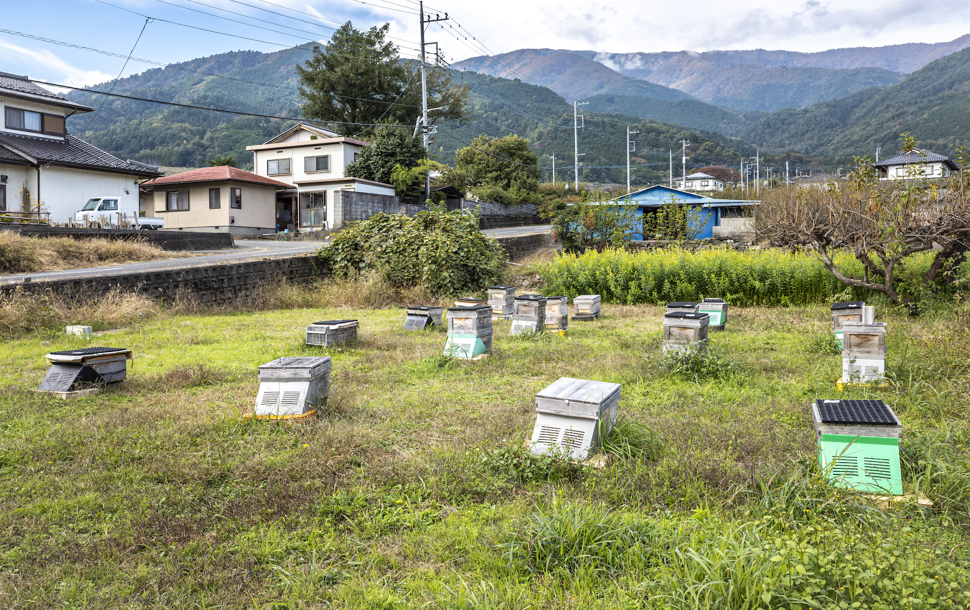 櫛形山を背にした畑にミツバチの巣箱がたくさん