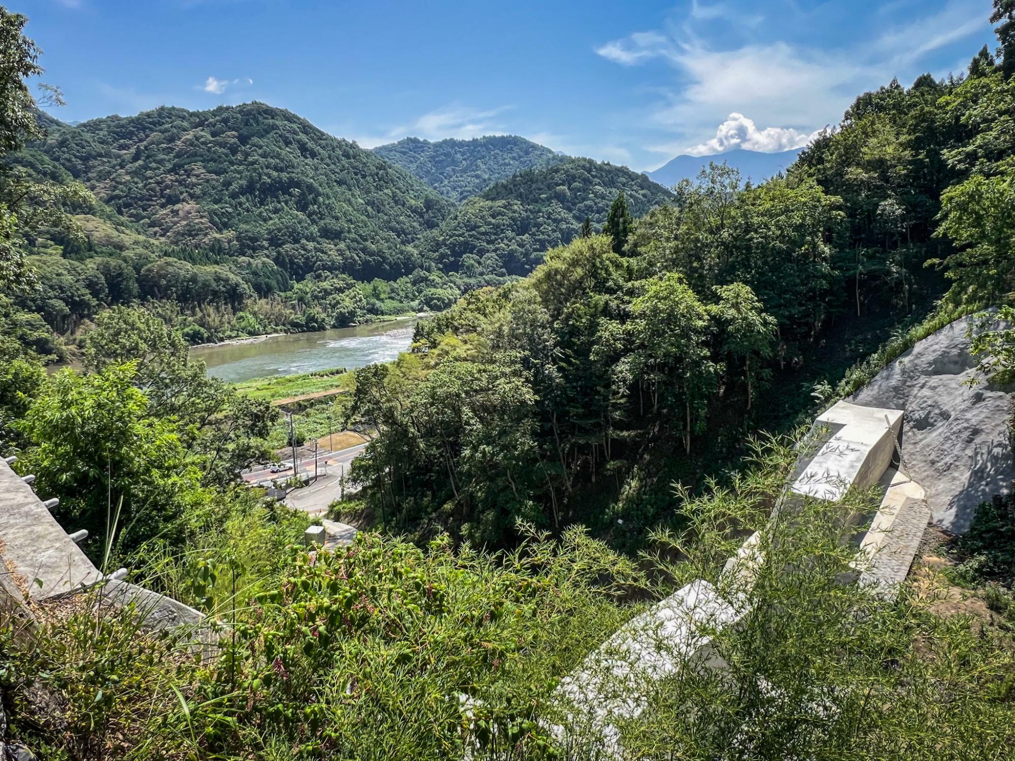 山の中から富士川の流れを眺める